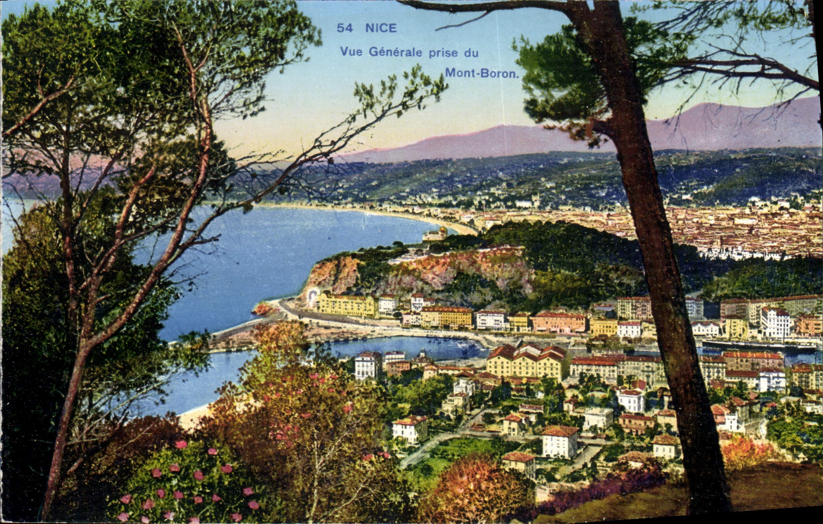 CPA Nice Vue Generale Prise Du Mont Boron
