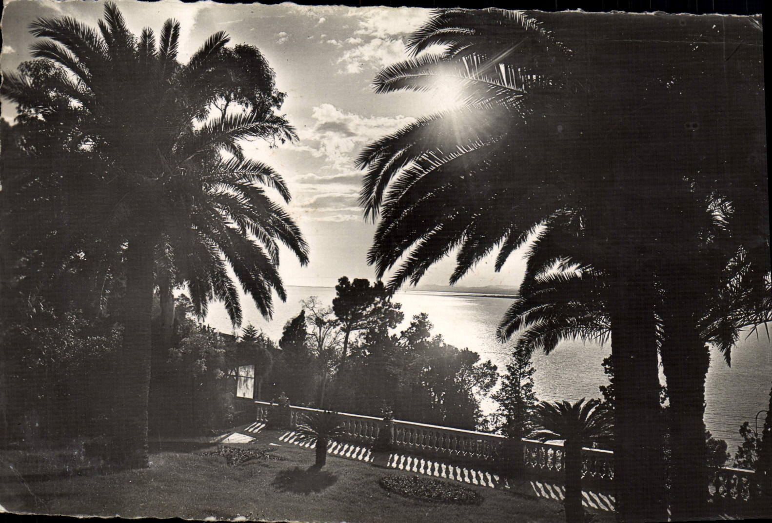 CPA Cote D'Azur Coucher de soleil