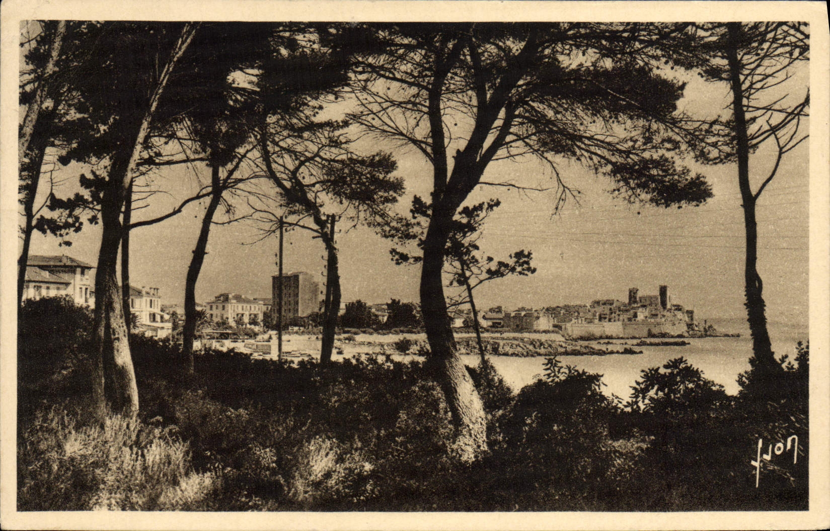 POSTAL de la VENDIMIA para recordar la ciudad vista a través de los pinos de la cornisa