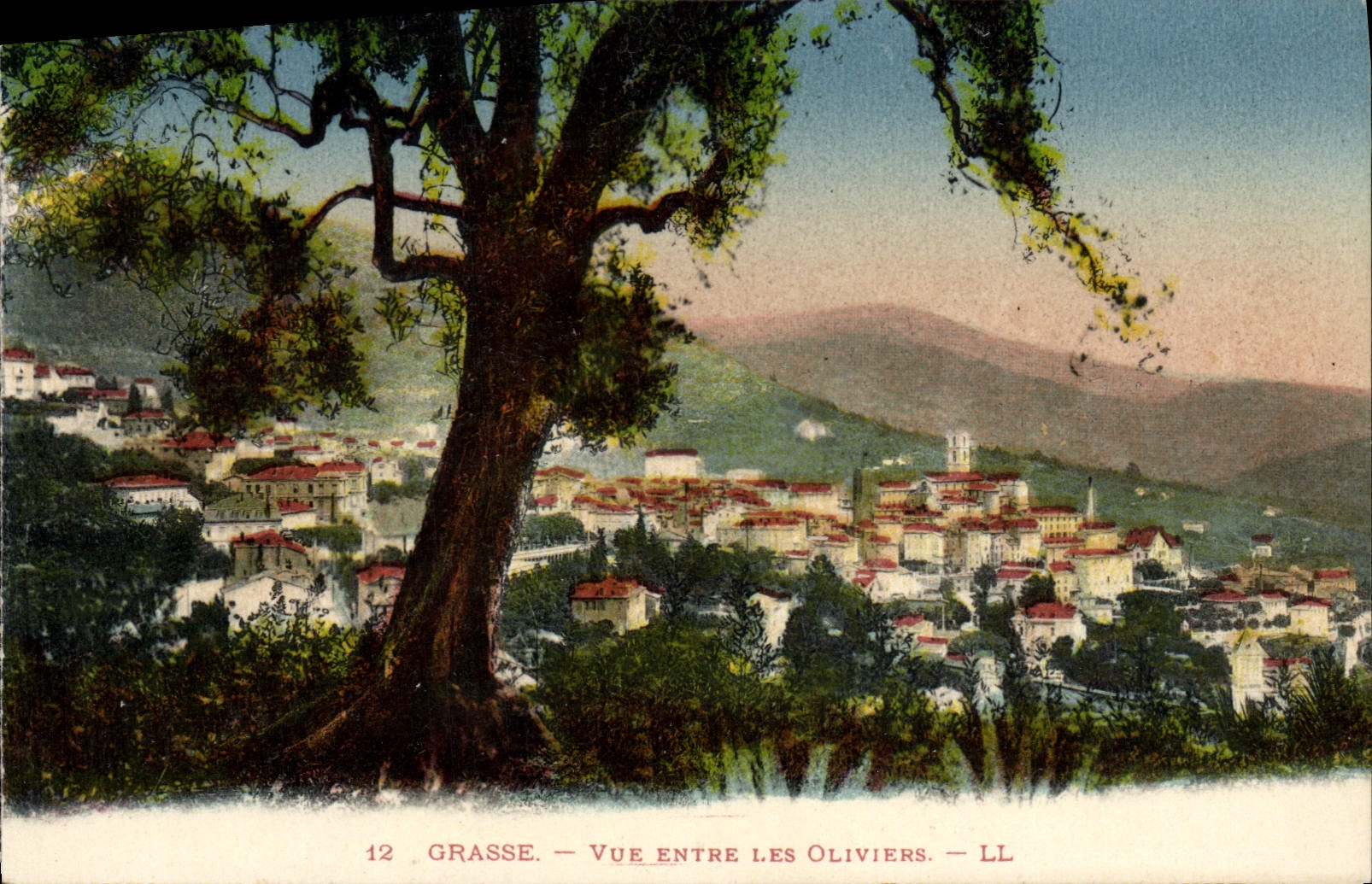 La vista de Grasse de la POSTAL de la VENDIMIA entra en los Aceituna-árboles
