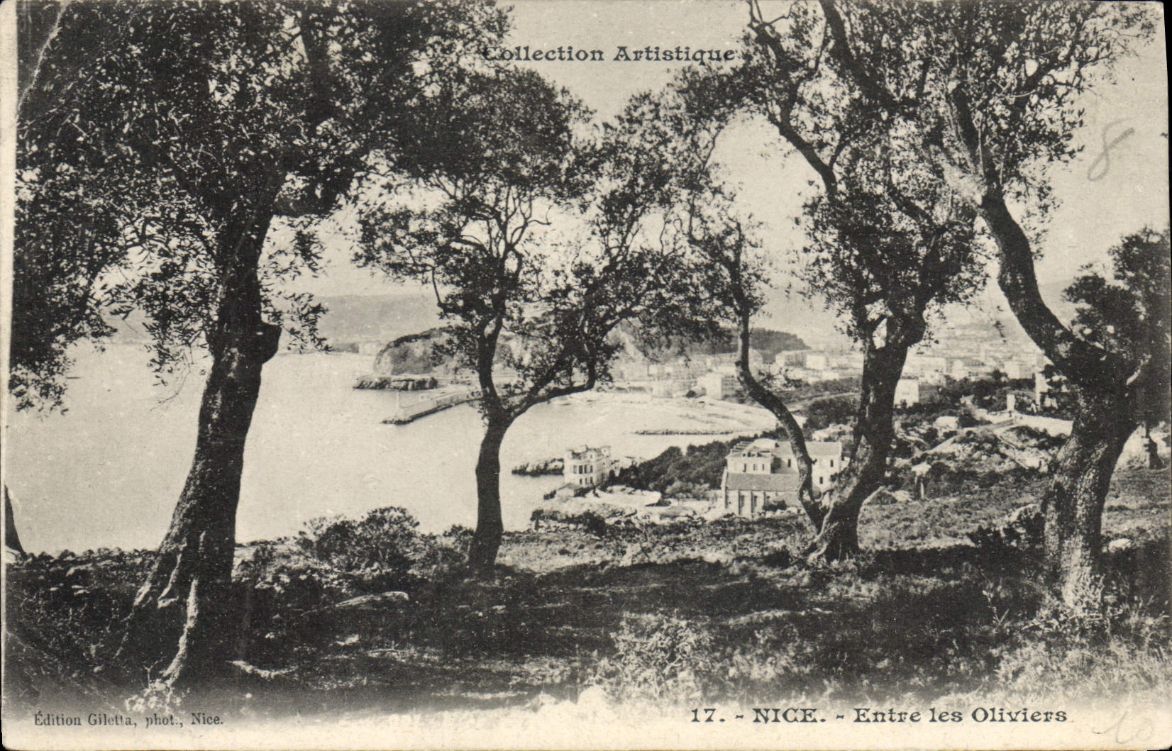 La POSTAL de la VENDIMIA Niza entra en los Aceituna-árboles