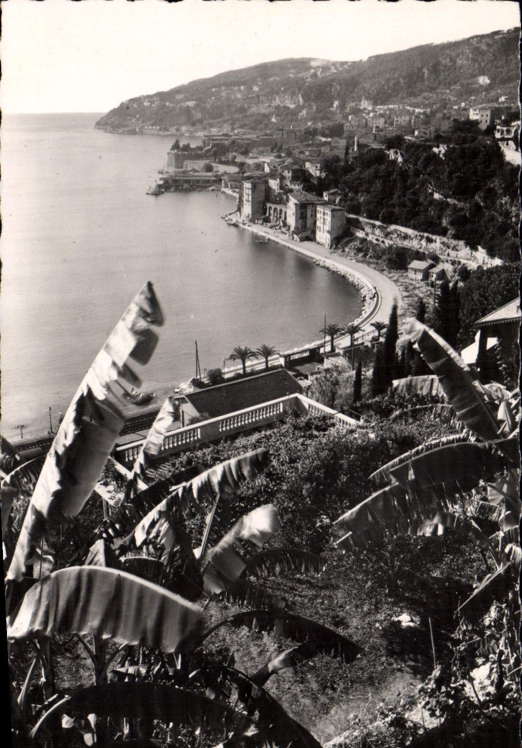 CPM Villefranche Sur Mer Vue Sur La Ville Le Port Et Le Cap De Nice prise entre les bananiers