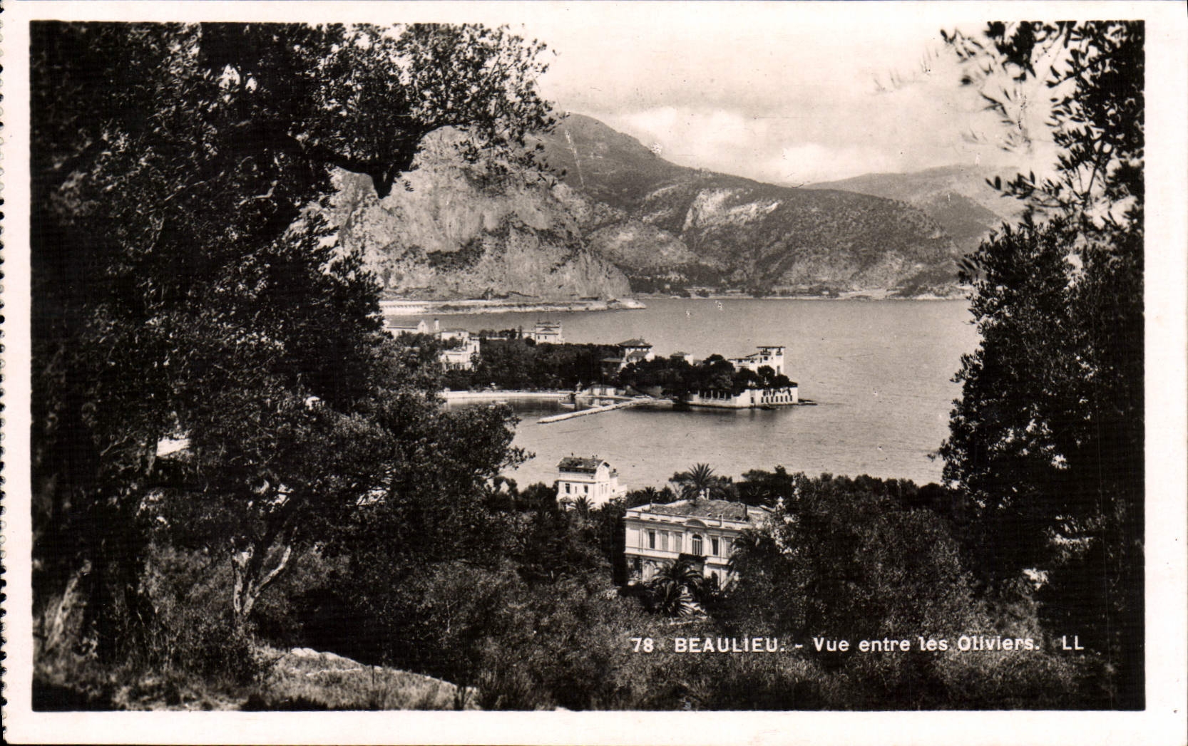 VINTAGE POSTCARD Beaulieu Seen Between the Olive-trees