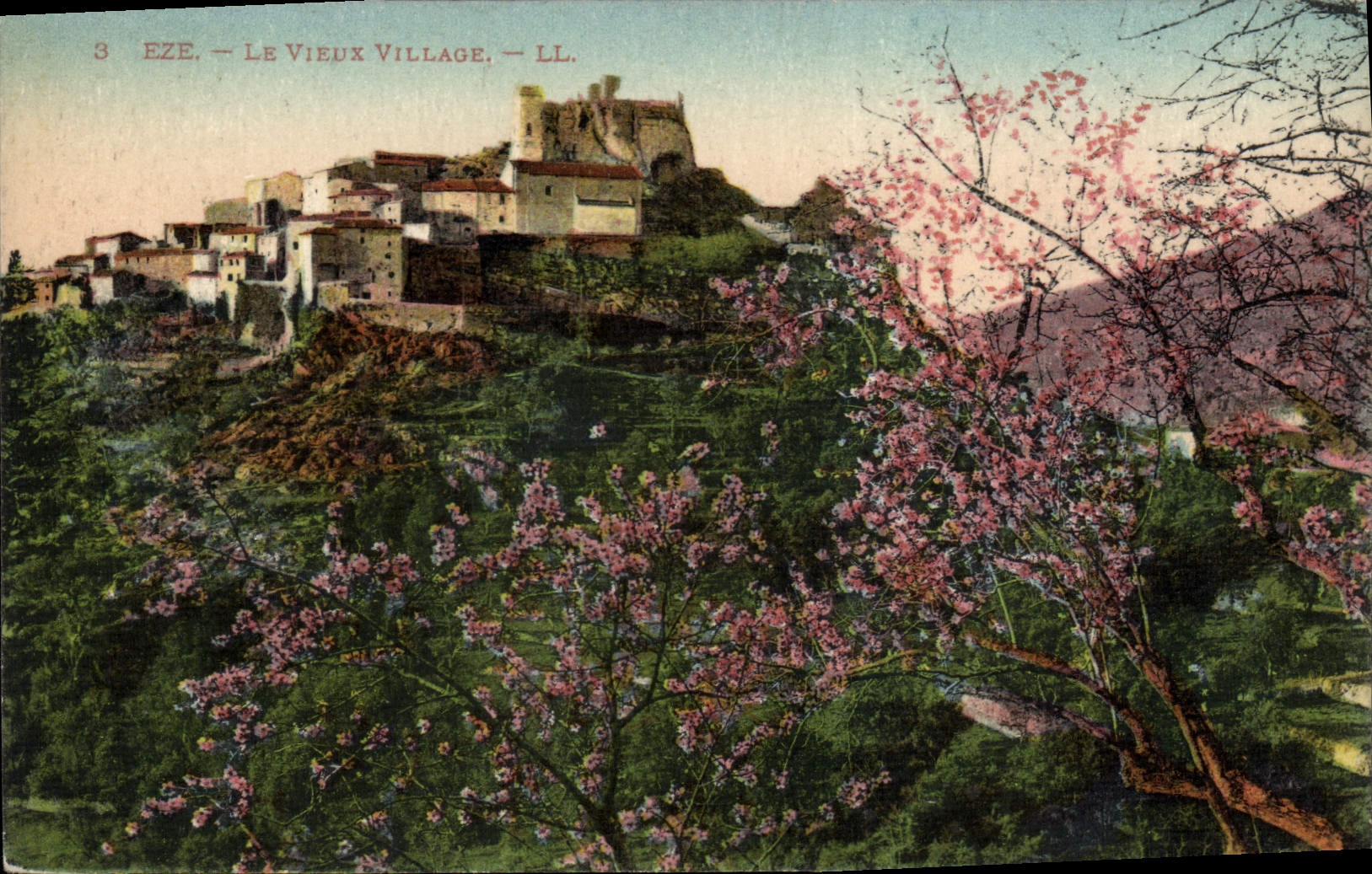 POSTAL Eze de la VENDIMIA la aldea vieja
