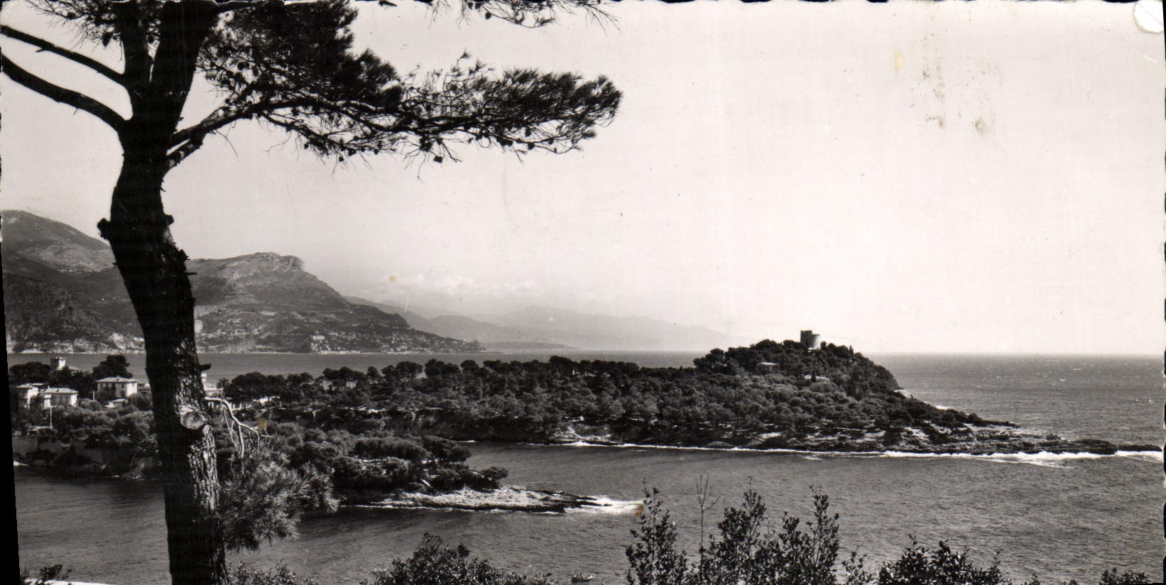 CPM Saint Jean Cap Ferrat La Pointe Saint Hospice Au Fond la tete de chien