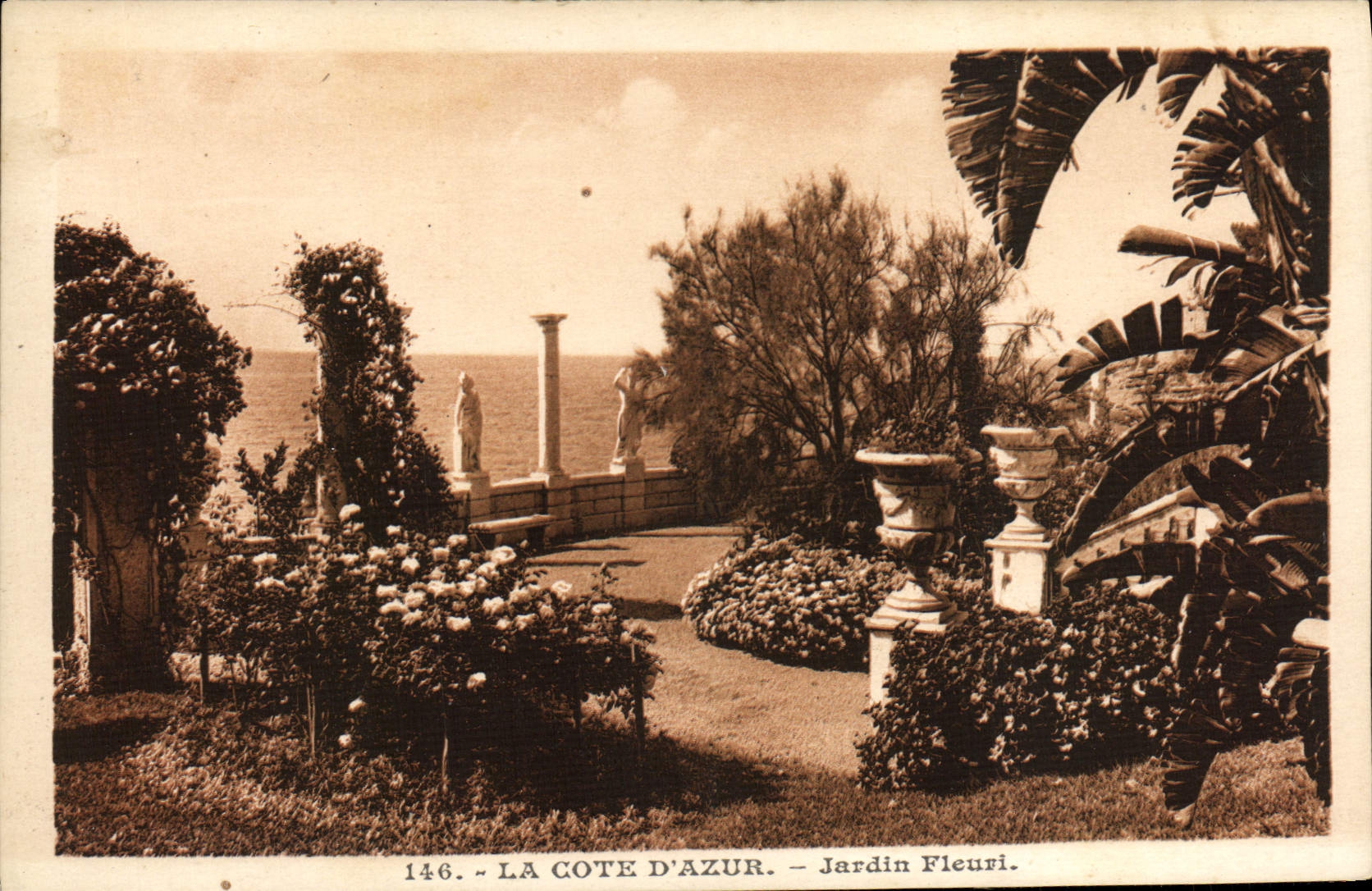 CPA La Cote D'Azur Jardin Fleuri