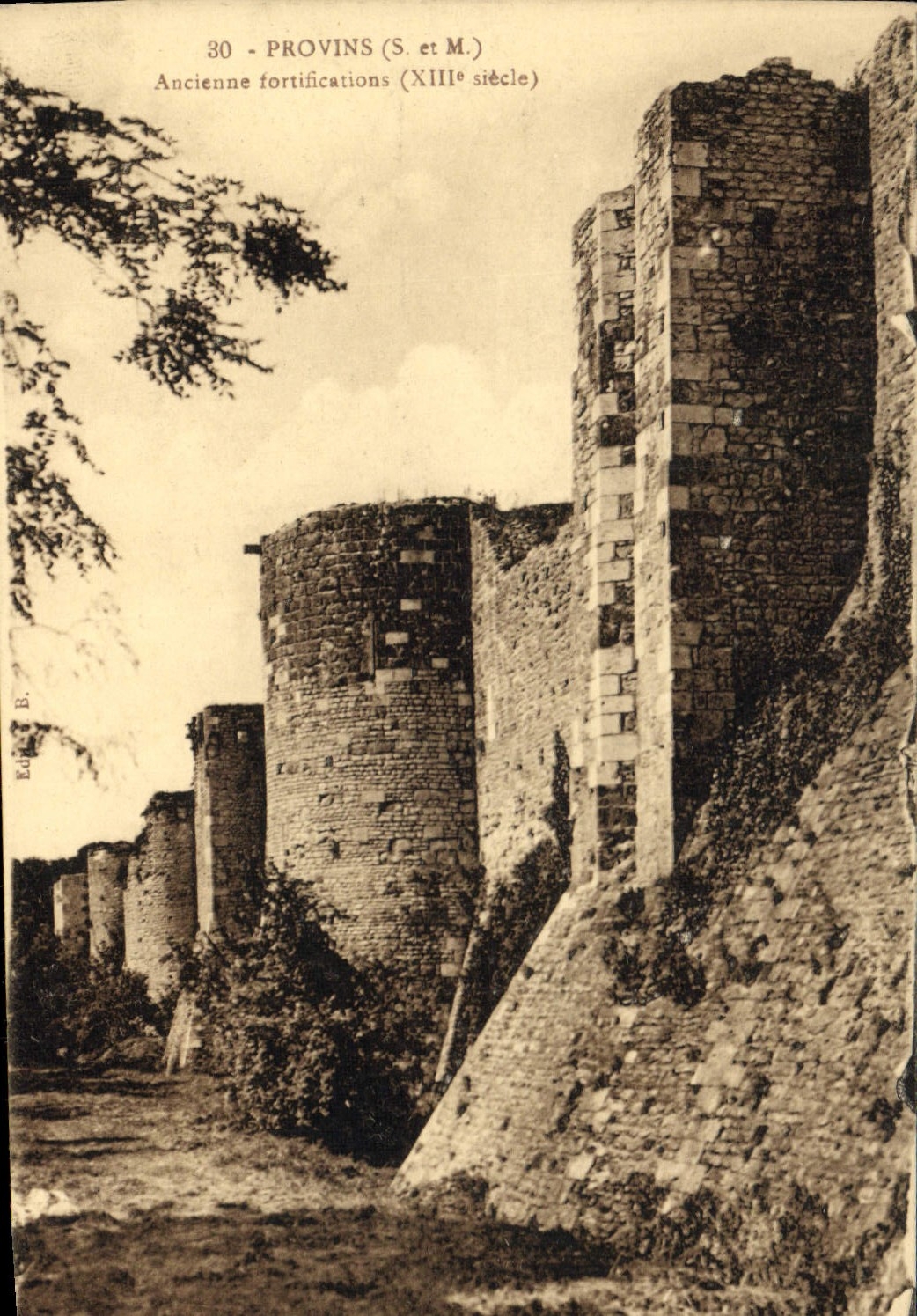 VINTAGE POSTCARD Layered branches Old Fortifications