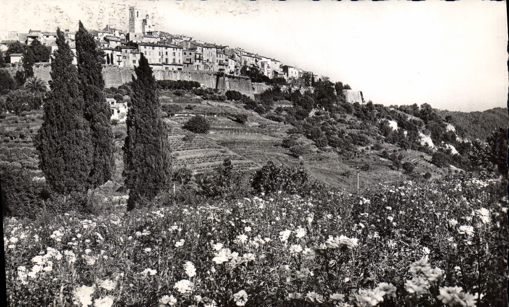 CPM St Paul Vue Generale