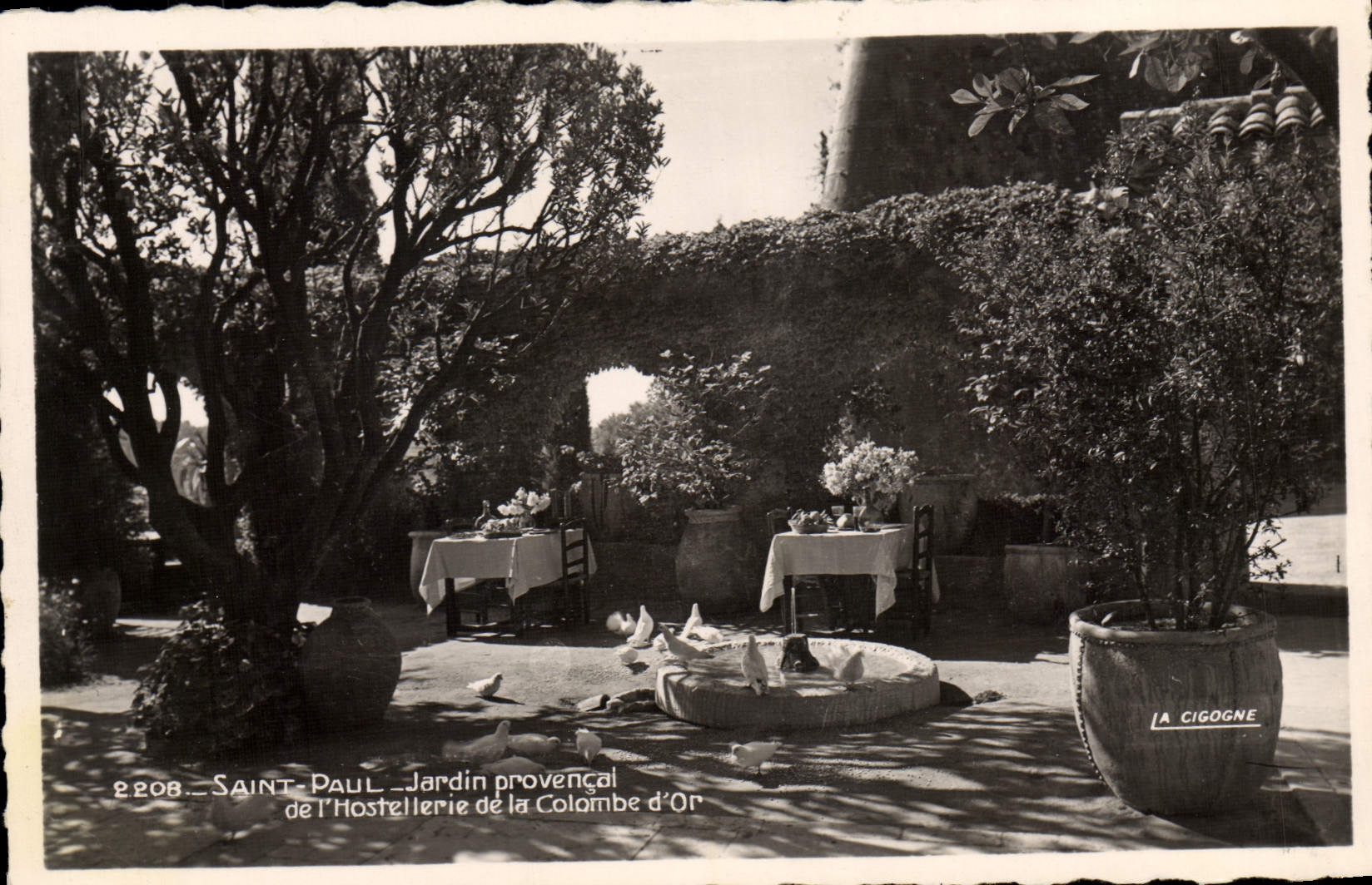 CPA St Paul Jardin Provencal De I'Houstellerie De La Colombe d'Or