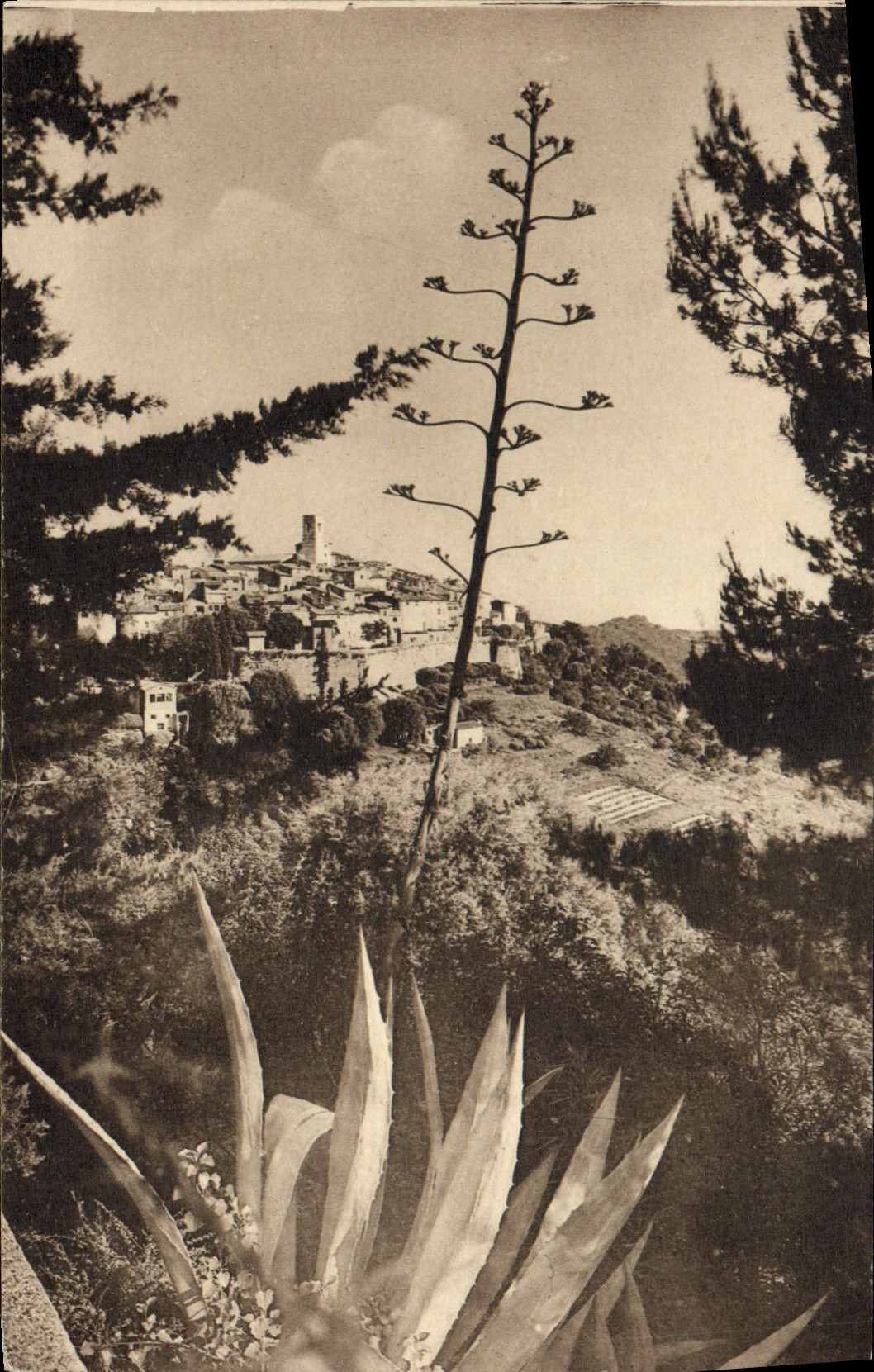 CPA Saint Paul Vue Generale