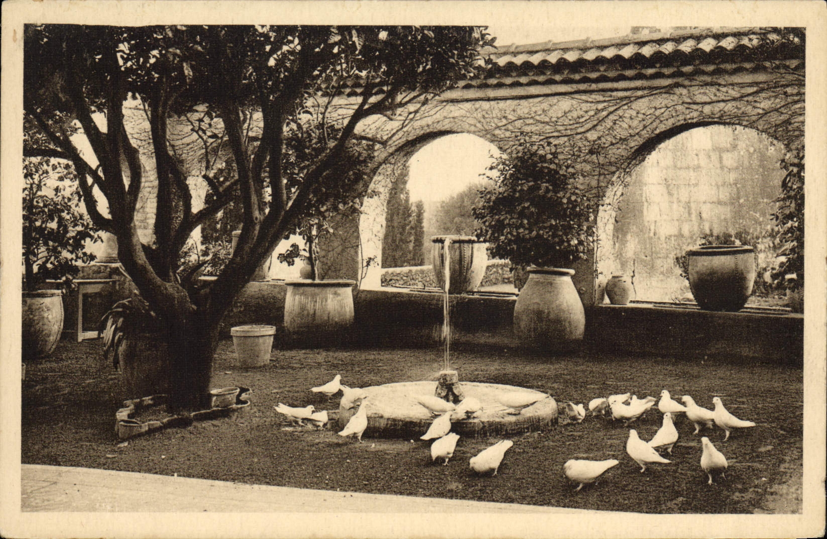 CPA Saint Paul La Colombe D'Or