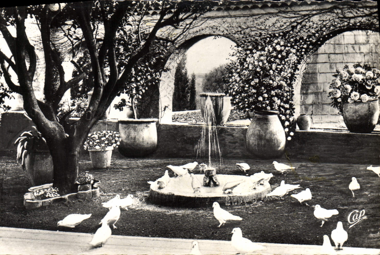 CPA Saint Paul La Colombe D'Or