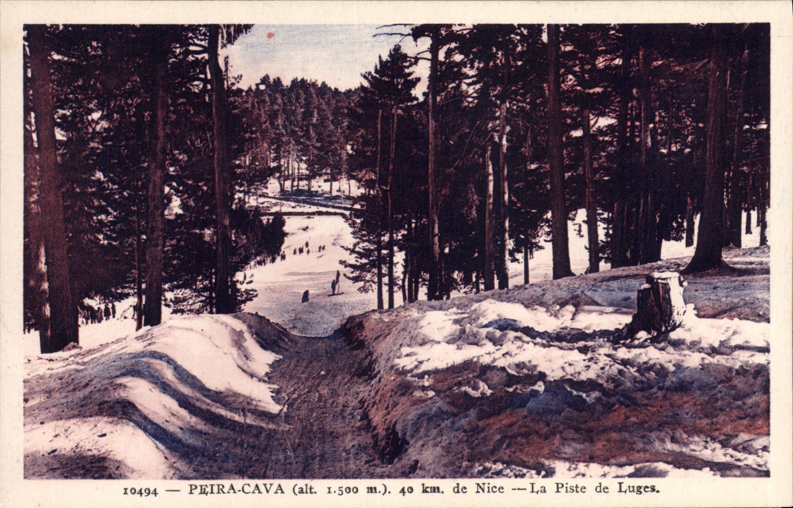 VINTAGE POSTCARD Peira Undermined the track of toboggans