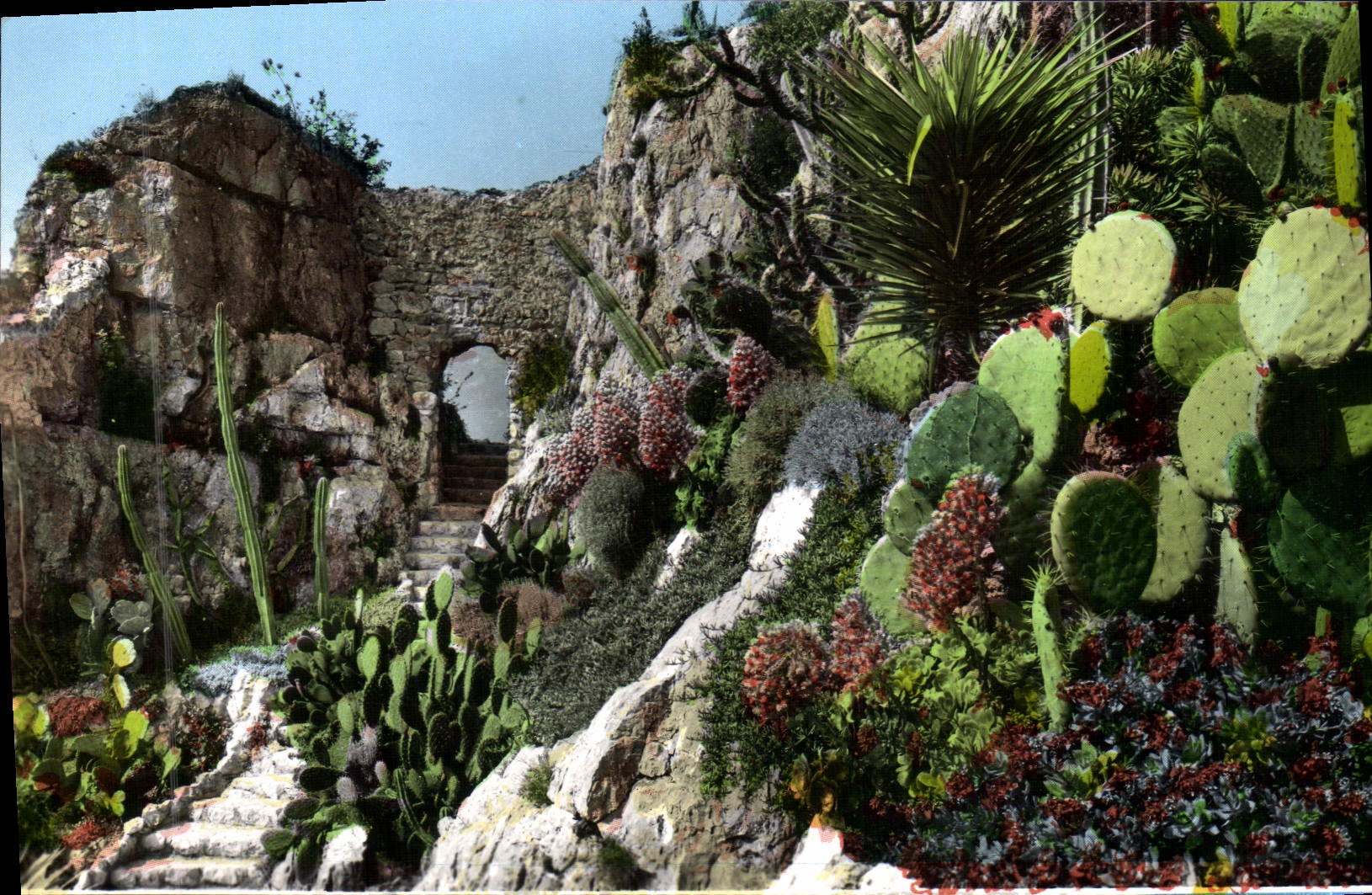 MODERN CARD Old stones and exotic garden