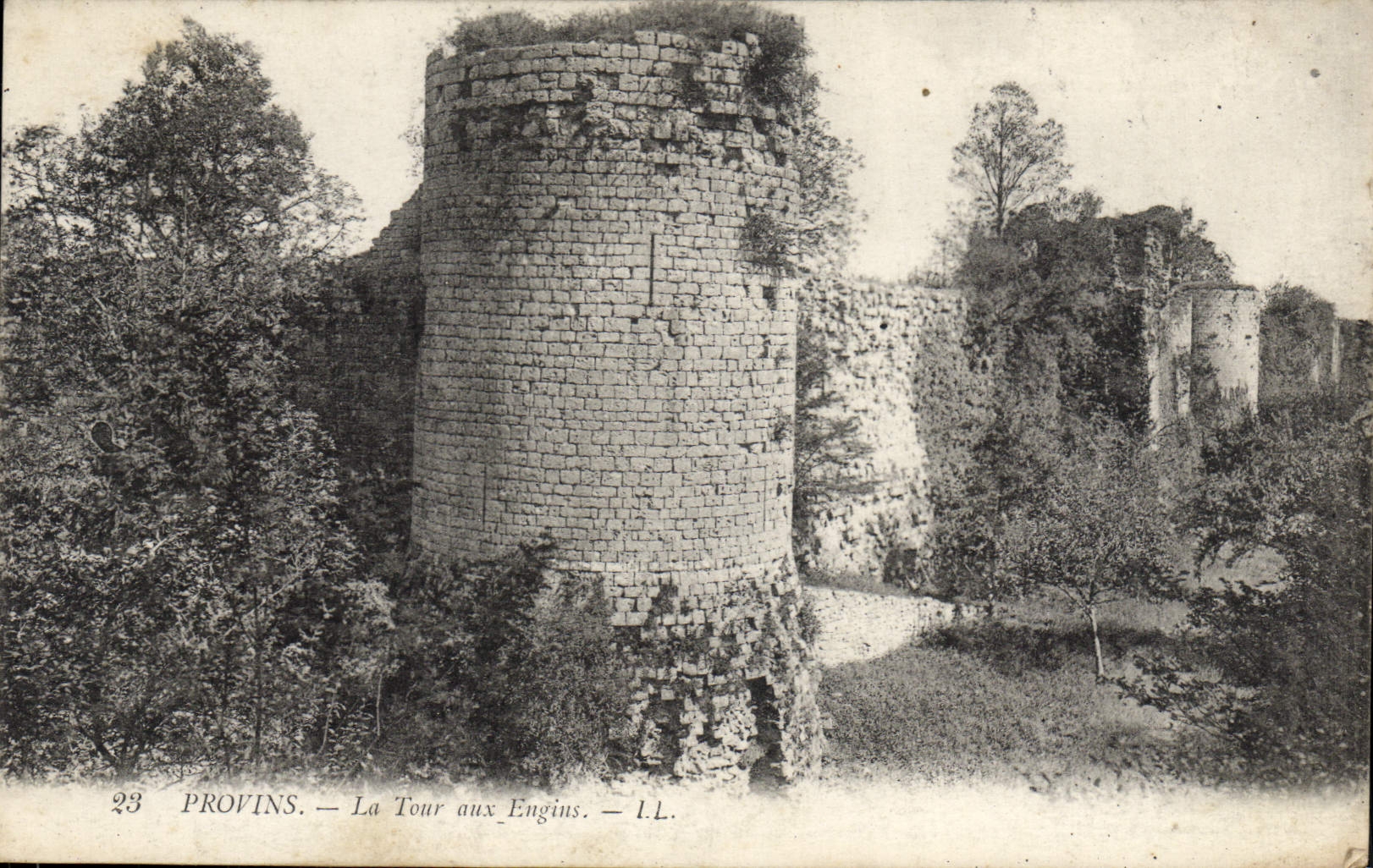 VINTAGE POSTCARD Layered branches the tower with the machines