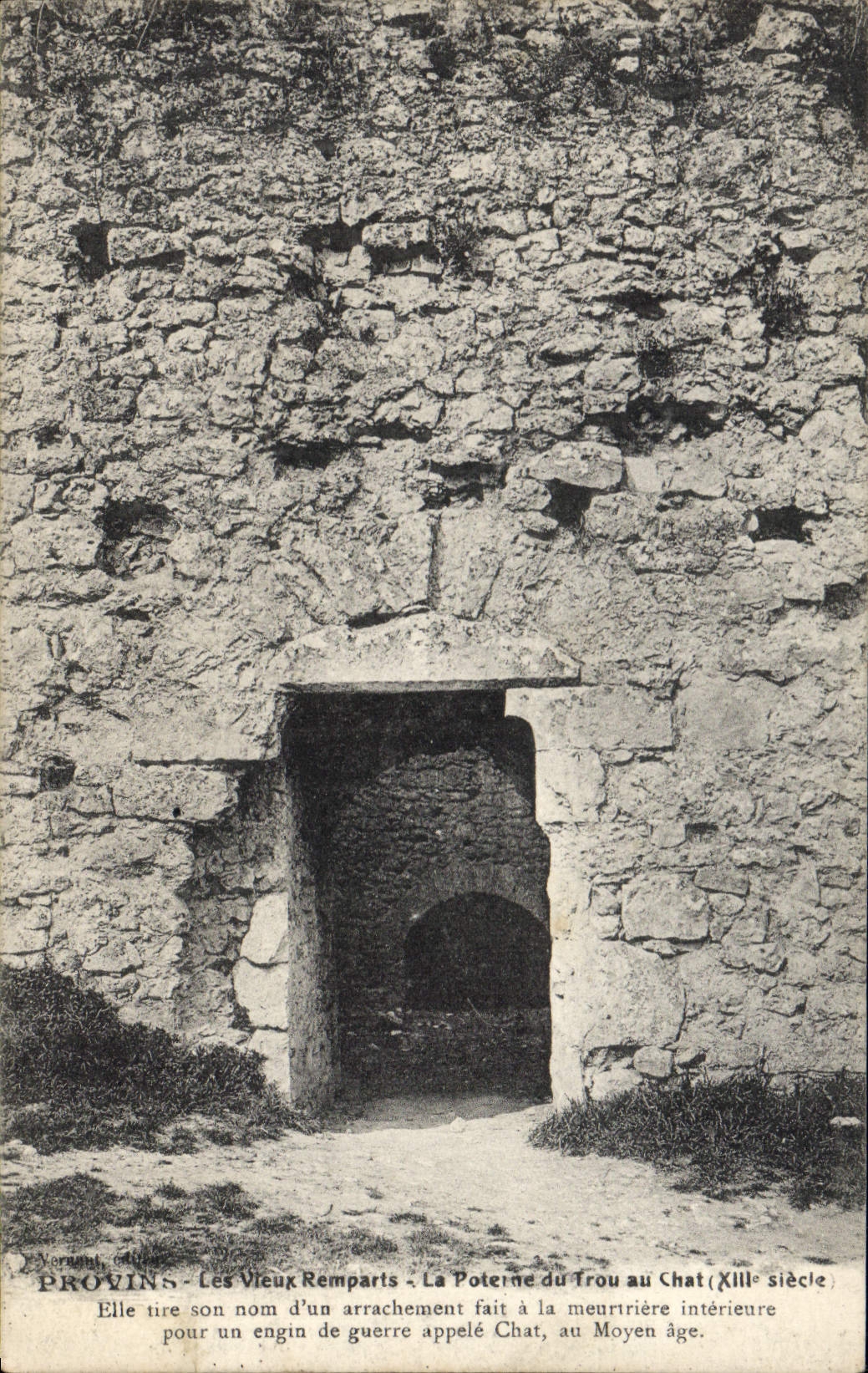 VINTAGE POSTCARD Layered branches old walls the postern of the Hole to the cat