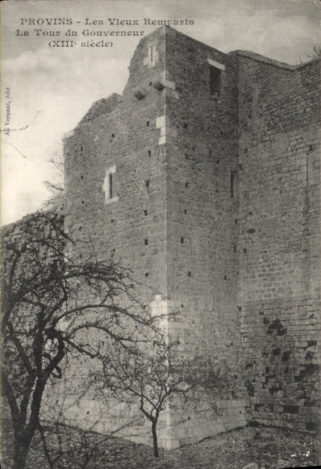 VINTAGE POSTCARD Layered branches old walls the tower of the governor