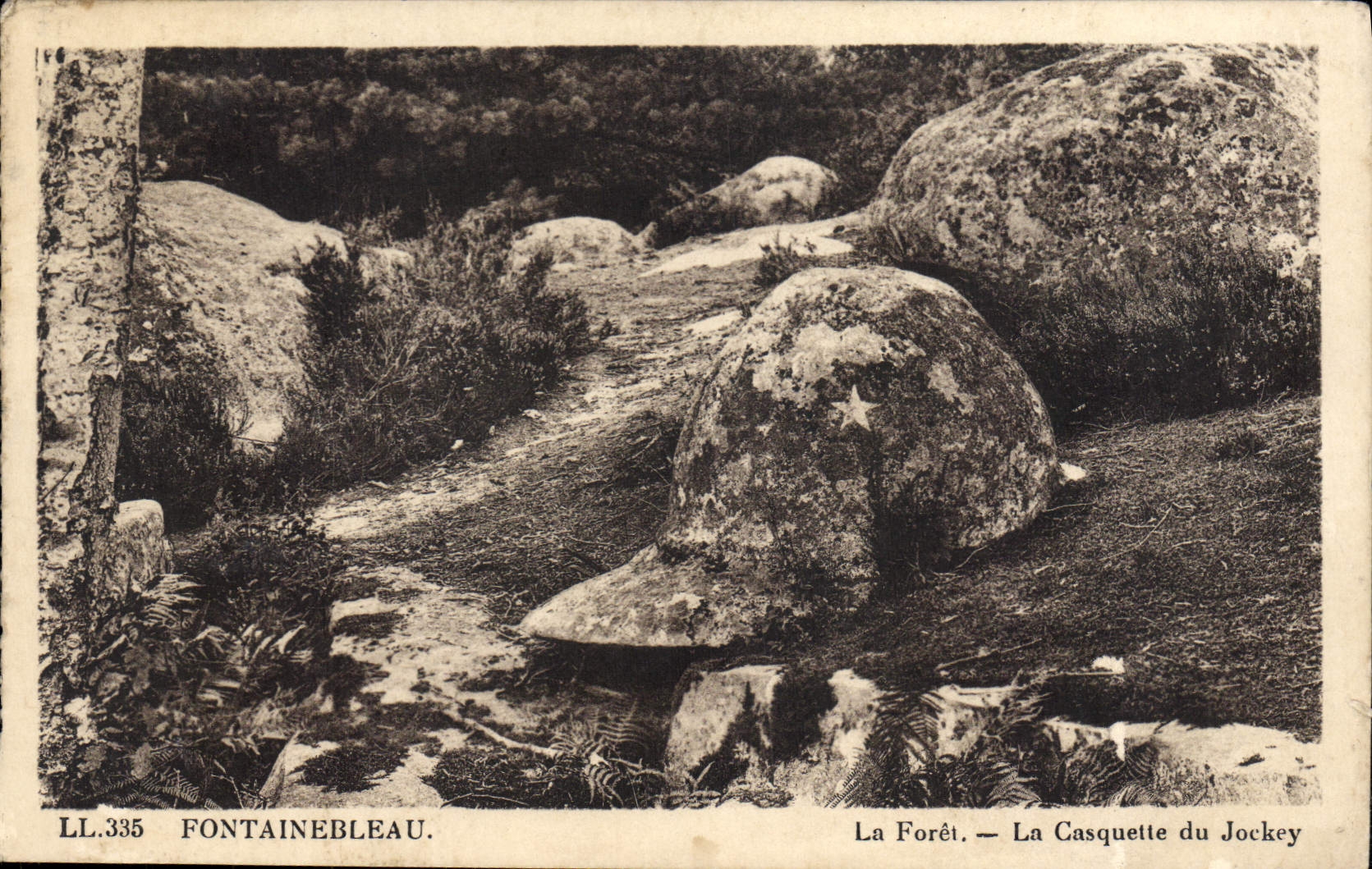 VINTAGE POSTCARD Fontainebleau the Drill the cap of the jockey