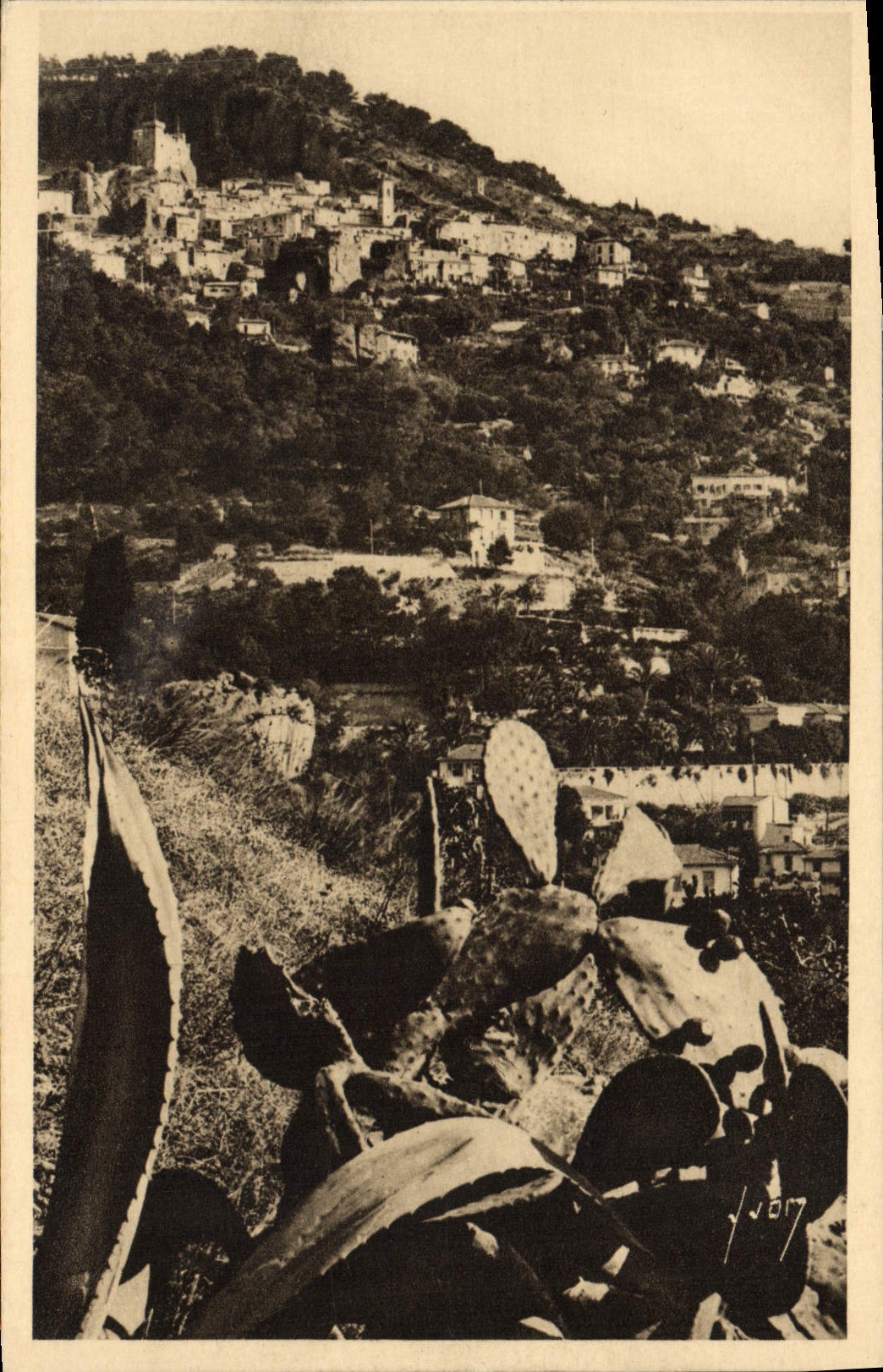CPA Roquebrune Dans son nid de Verdure