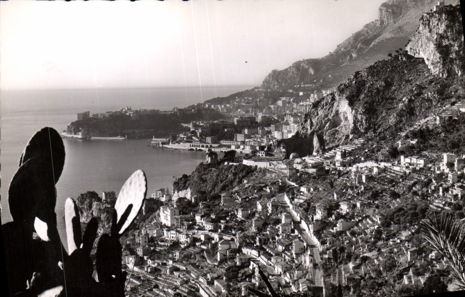 CPM Roquebrune Cap Martin Vue generale Au fond Monte Carlo et le rocher de Monaco