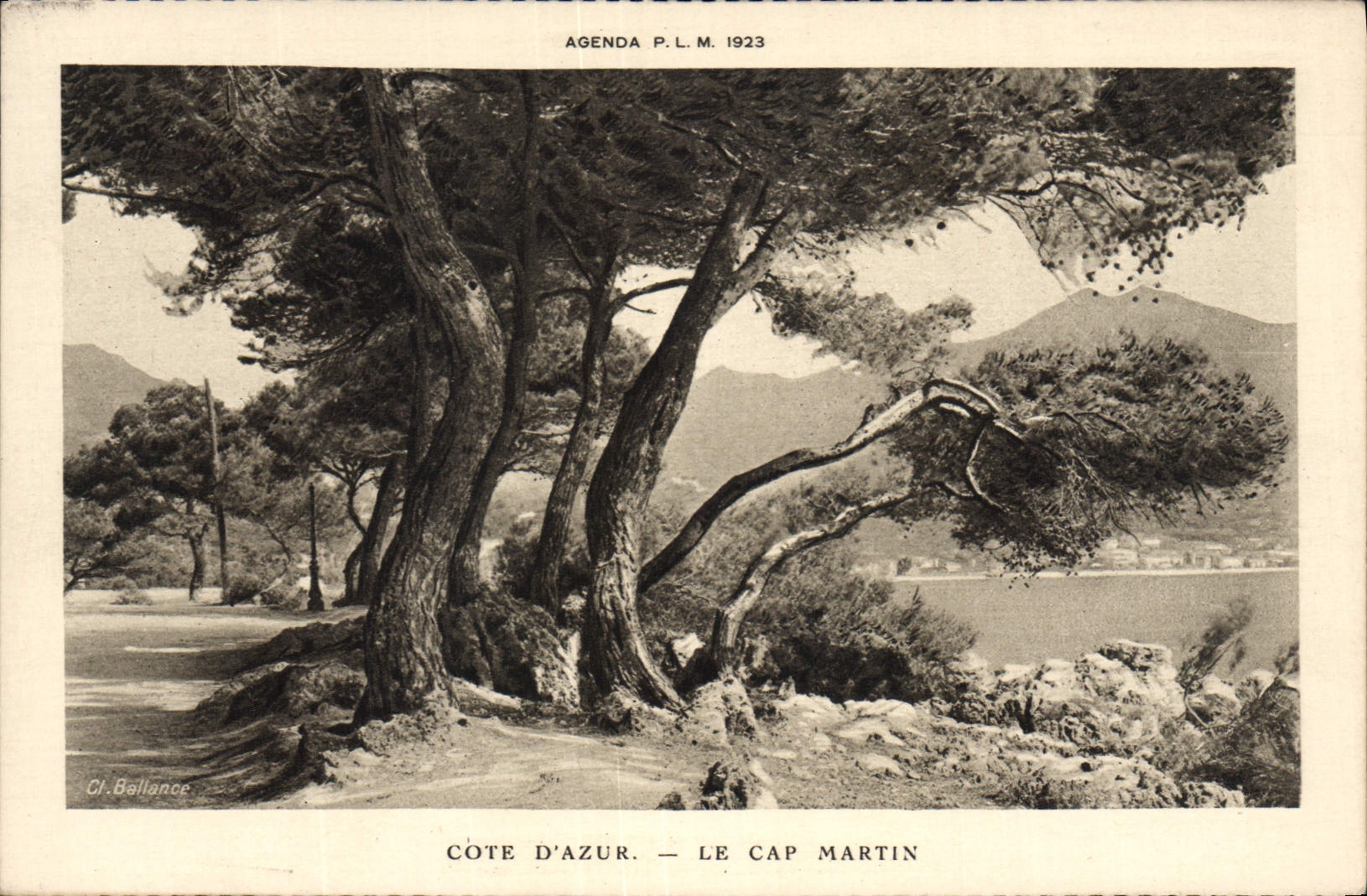 VINTAGE POSTCARD Cape Martin