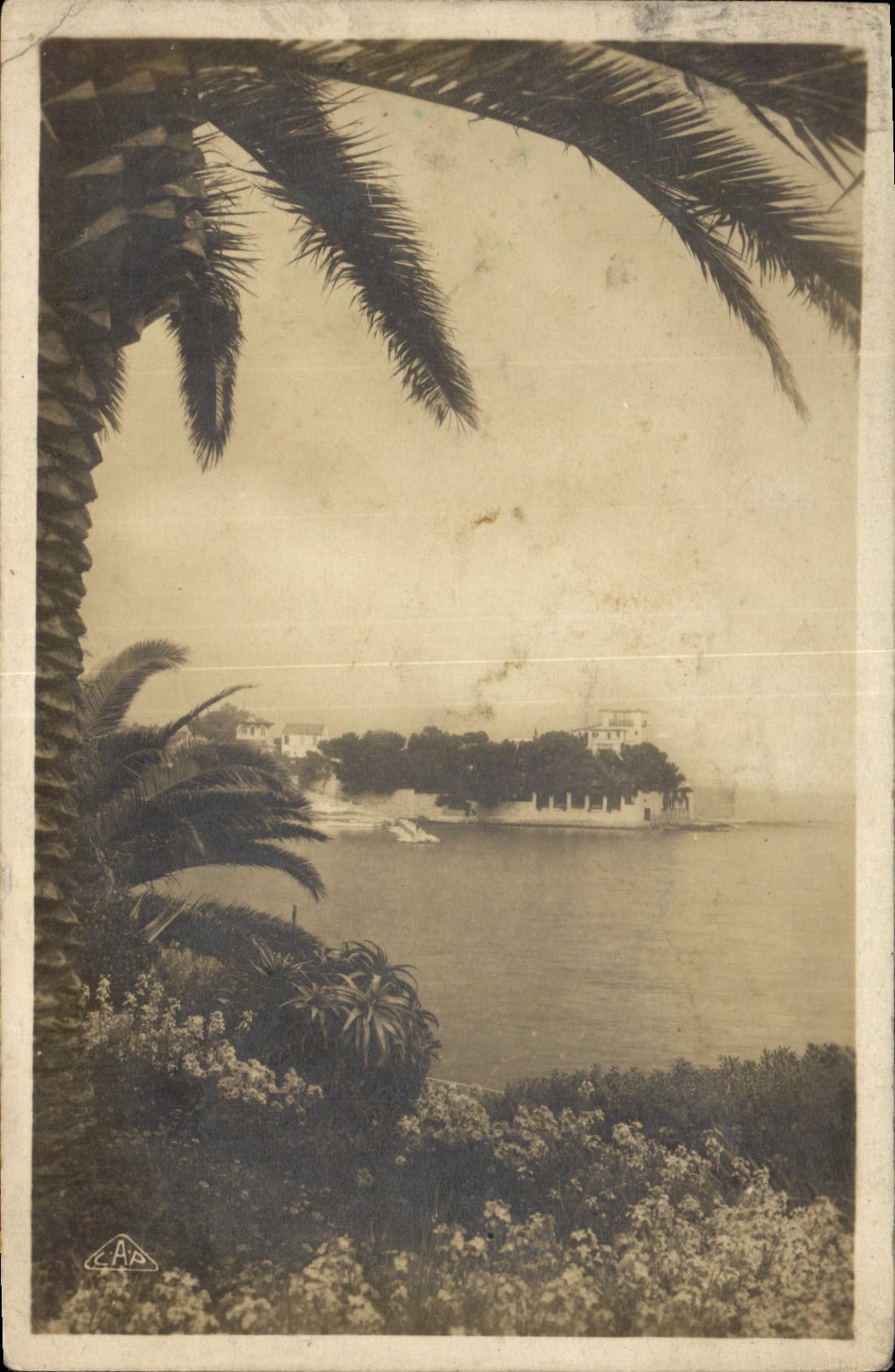 VINTAGE POSTCARD Beaulieu Points Formica