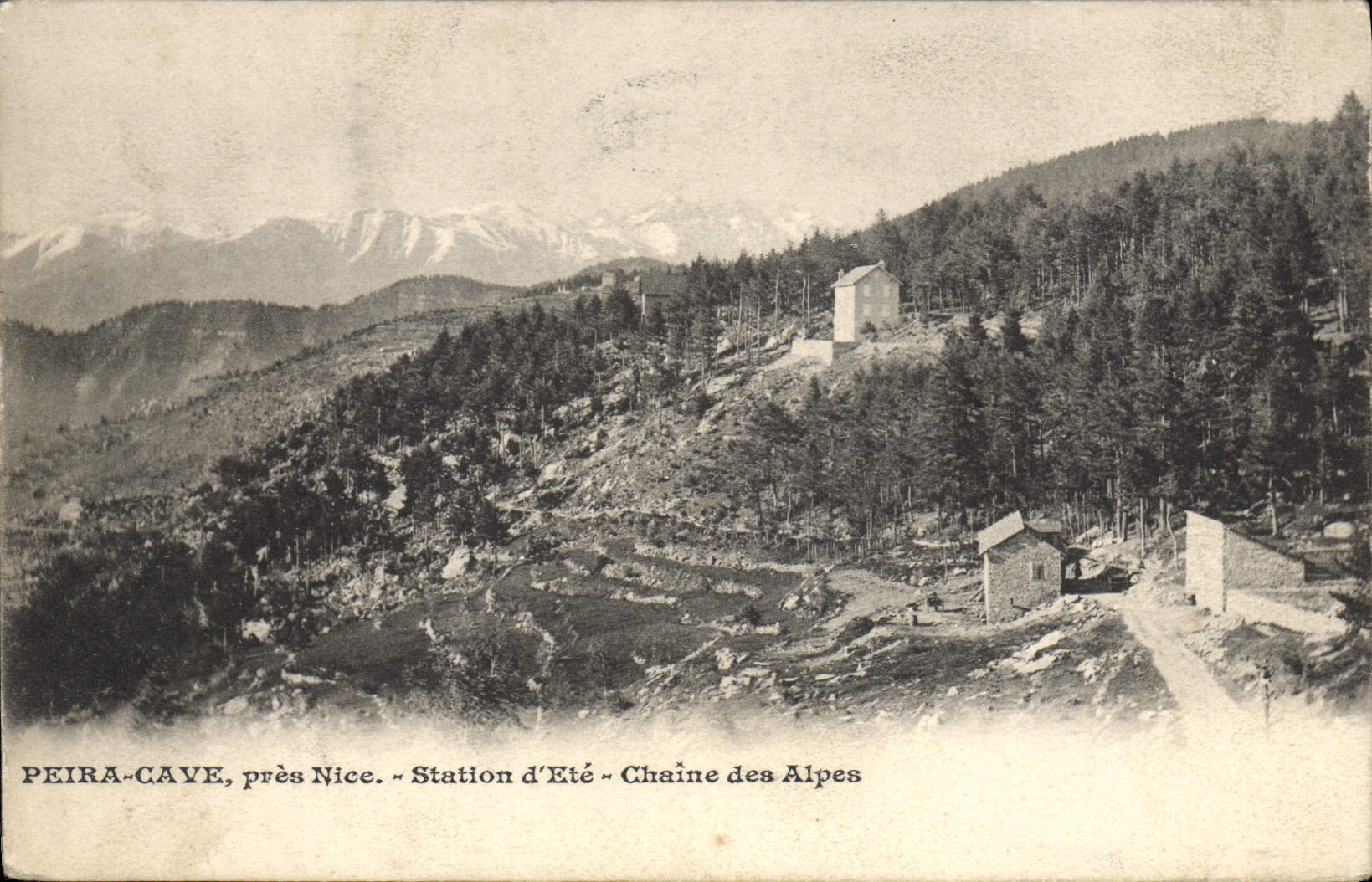 VINTAGE POSTCARD Peira Undermined Close Nice Station of Summer the Alpine range