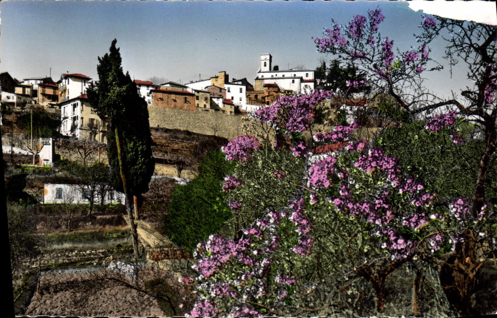 MODERN CARD Levens in spring