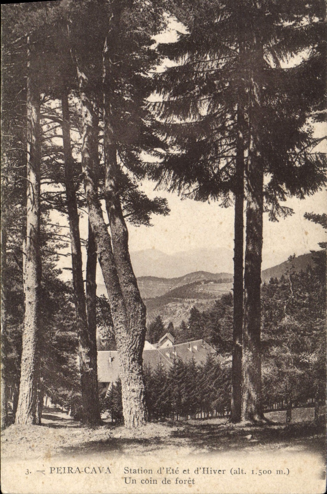 La POSTAL Peira de la VENDIMIA minó una esquina del taladro