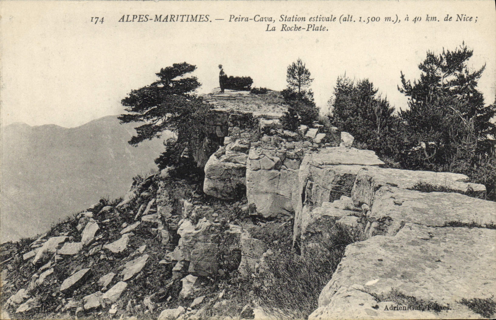 CPA Alpes Maritimes Peira Cava Station La roche Plate