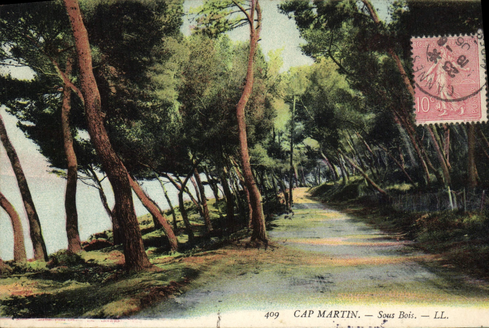 CPA Cap Martin Sous Bois