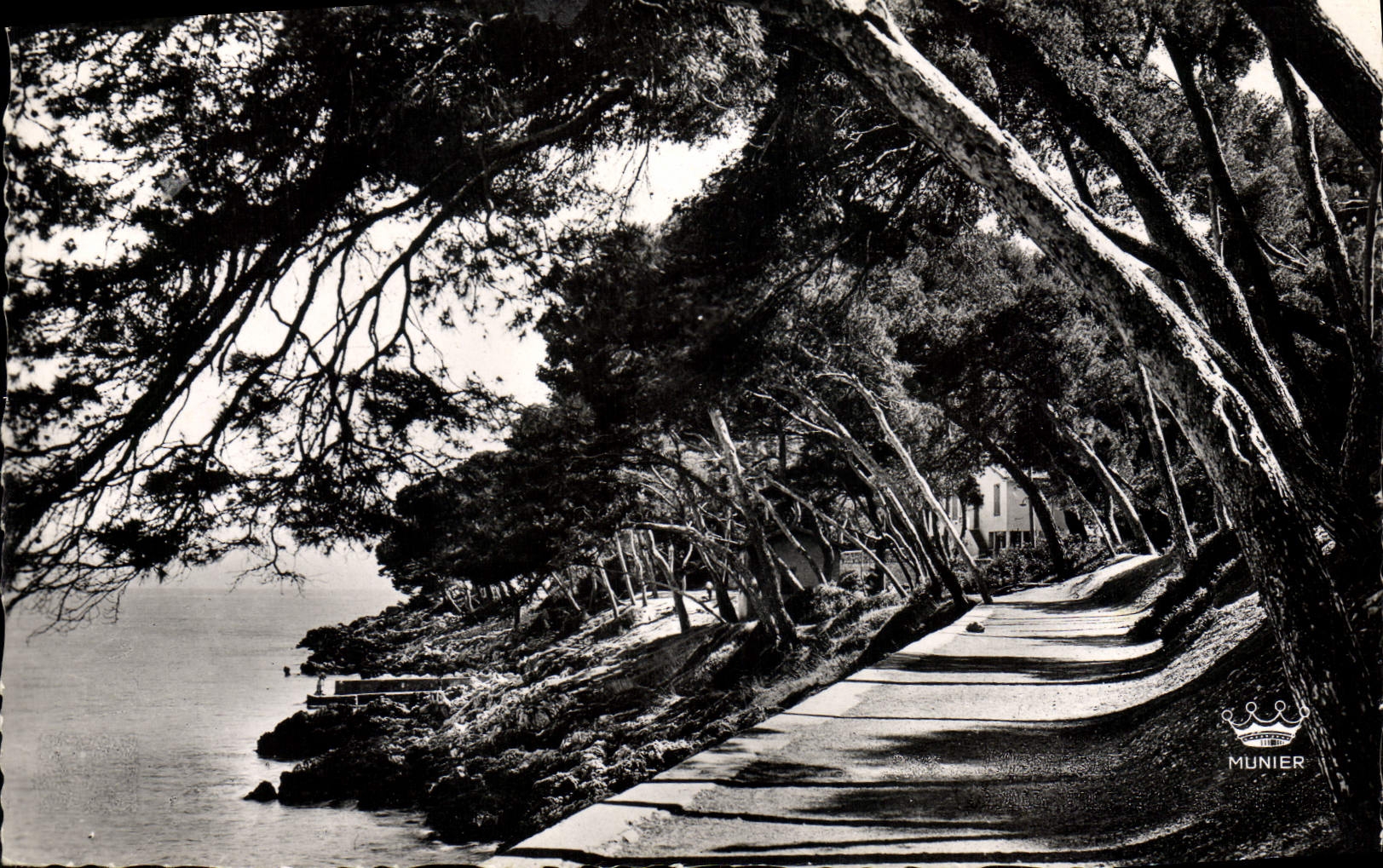 CPM Menton Sous Bois au Cap Martin