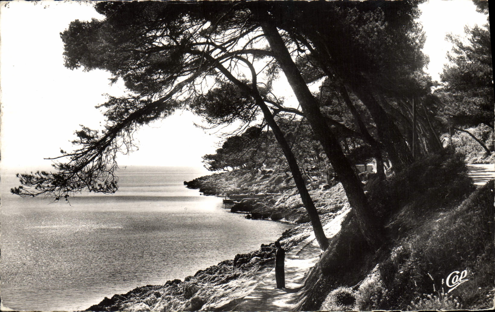 CPM Environs de Menton Roquebrune Cap martin La promenade du Cap Martin