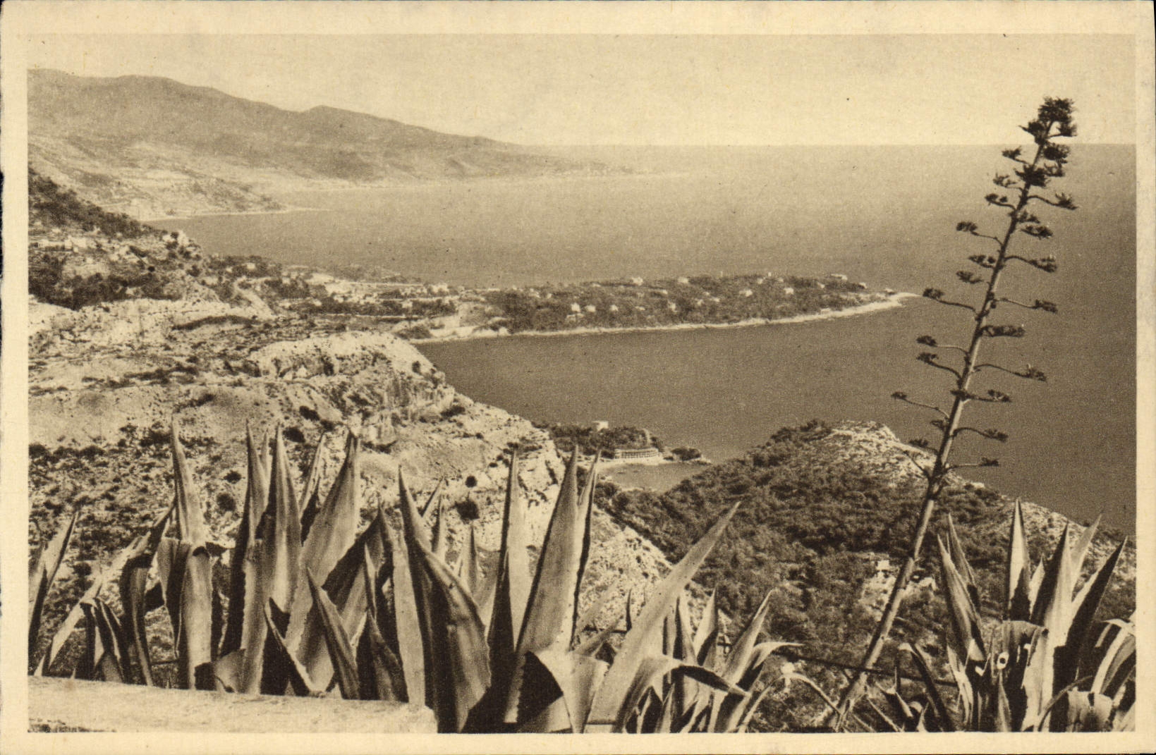CPA Le Cap Martin vu du rond point de la Turbie 