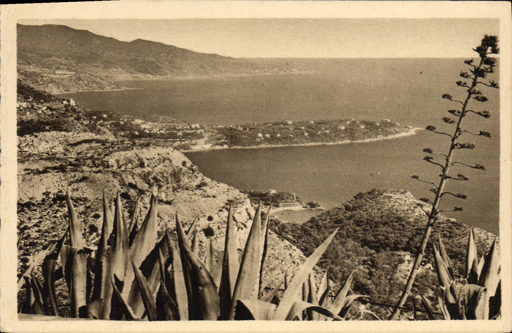CPA le Cap Martin vu du rond point de la Turbie