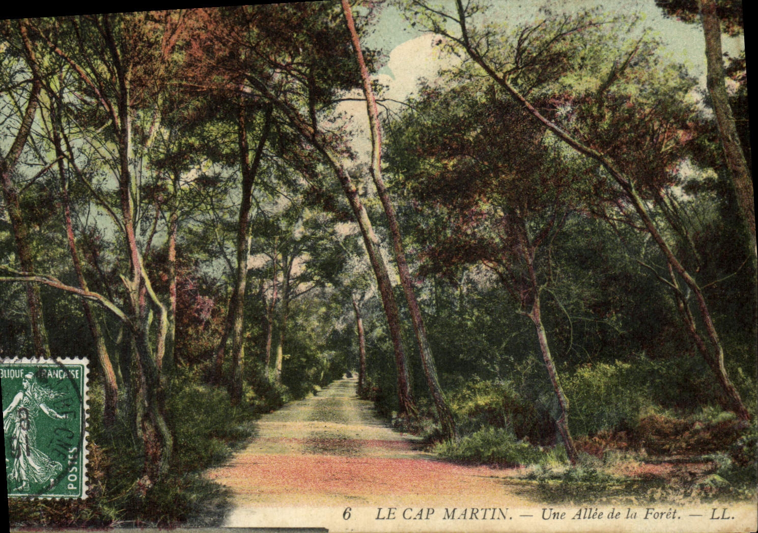 VINTAGE POSTCARD the Cape Martin an Alley of the Drill