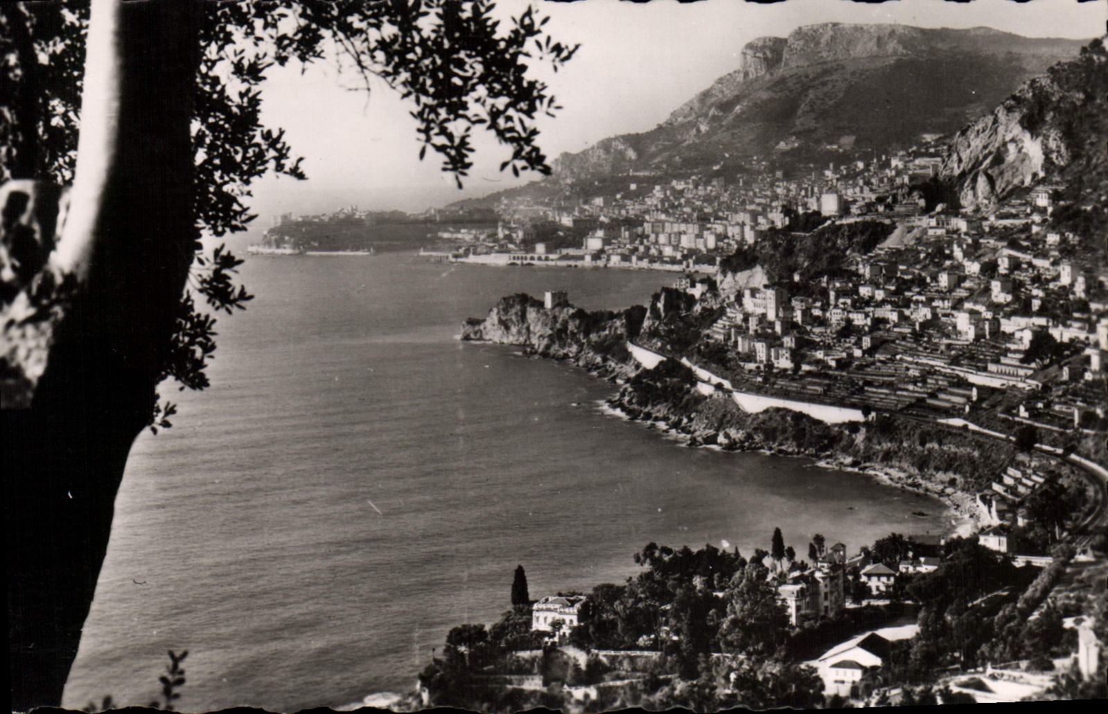 MODERN CARD Monte Carlo Seen of Roquebrune