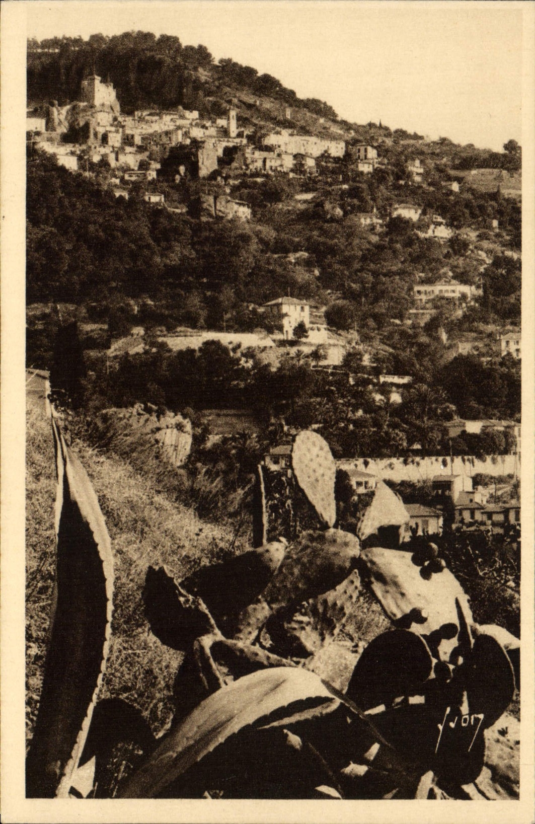CPA Roquebrune Dans son nid de Verdure