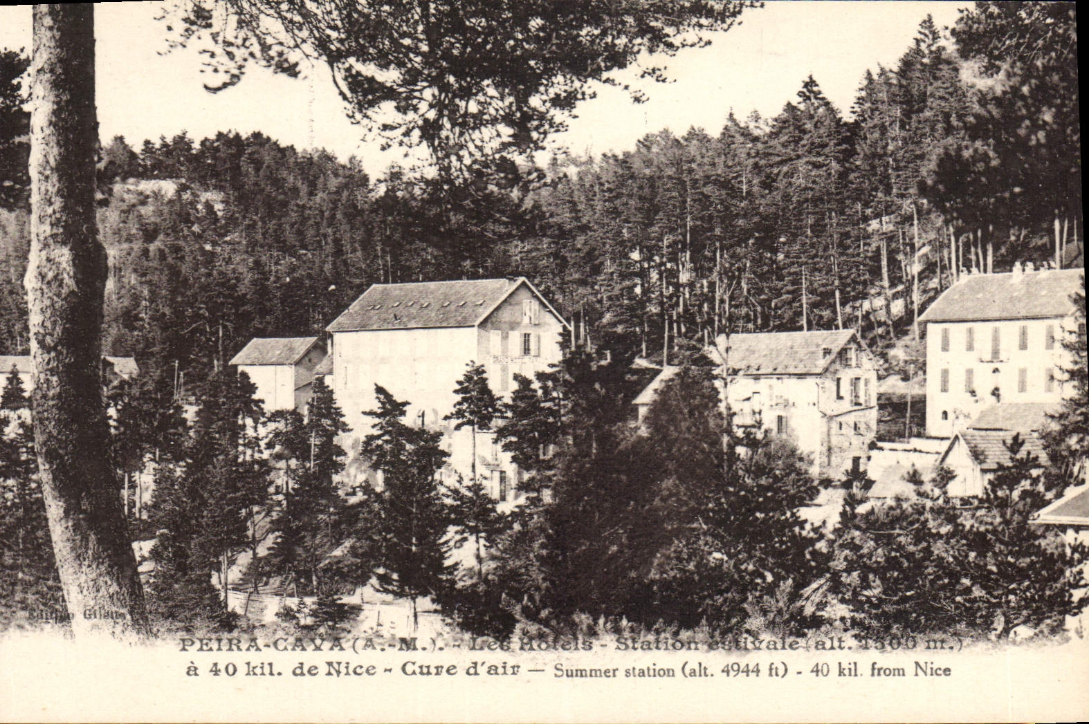 VINTAGE POSTCARD Peira Undermined the Hotels