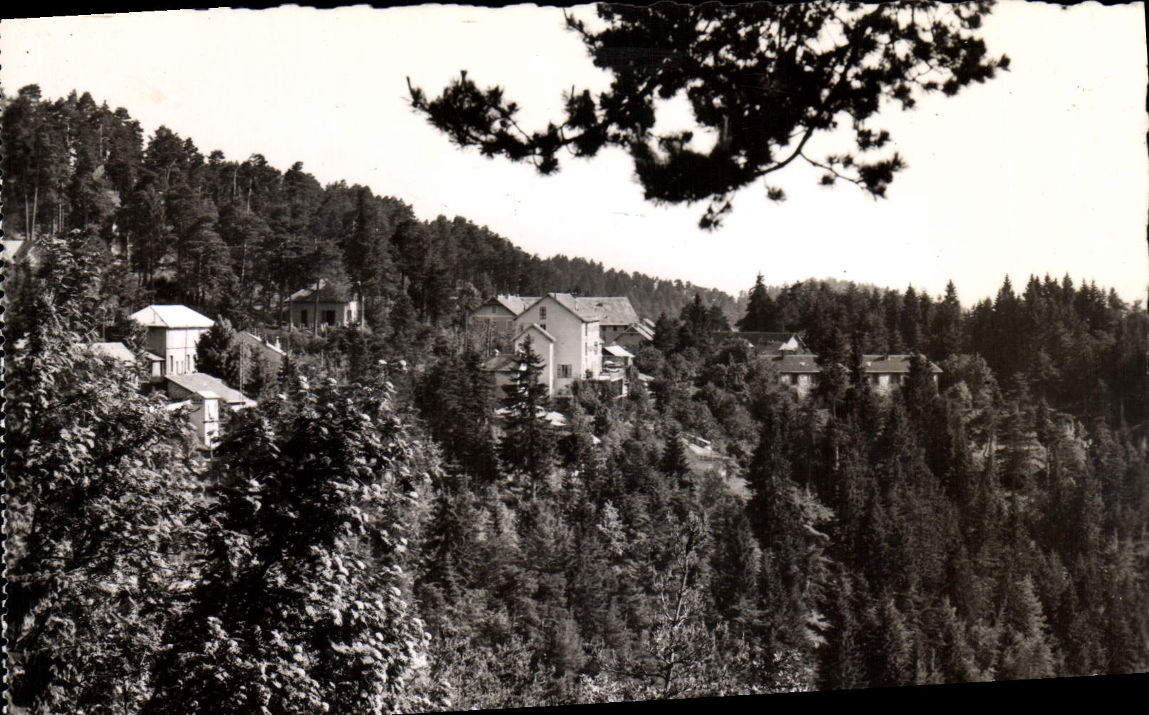 MODERN CARD Peira Undermined Estival Station and of Winter sports View