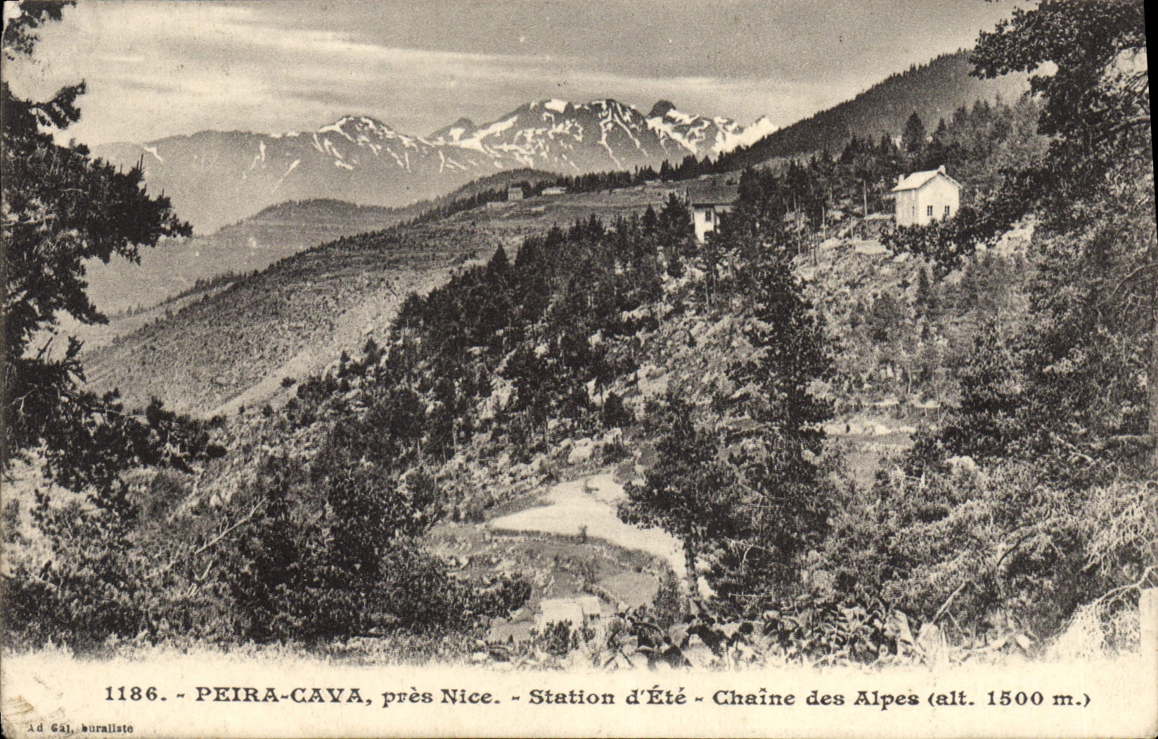 CPA Peira Cava Pres Nice Station d'Ete Chaine des Alpes 