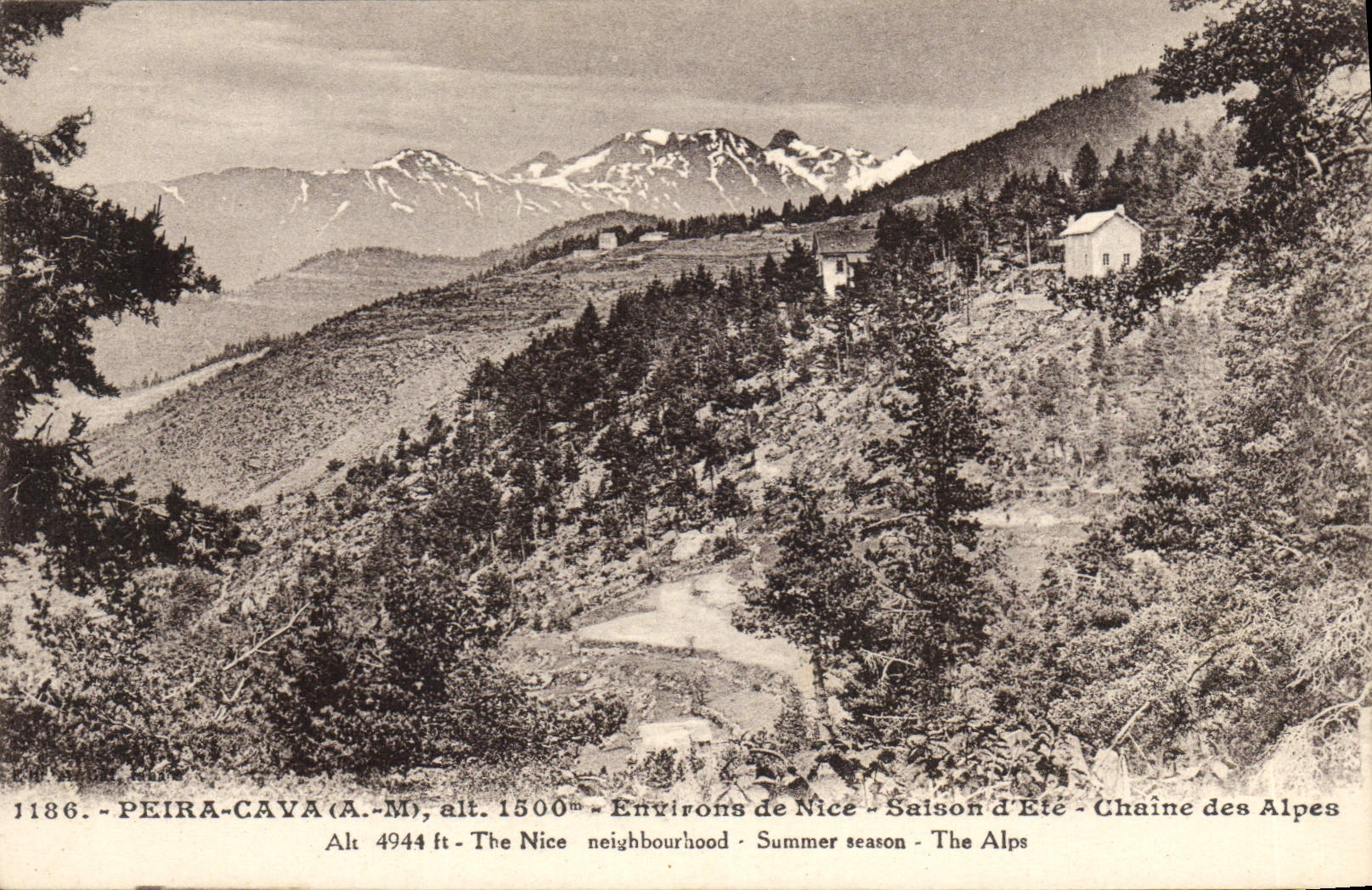 CPA Peira Cava Environs de Nice Saison d'Ete