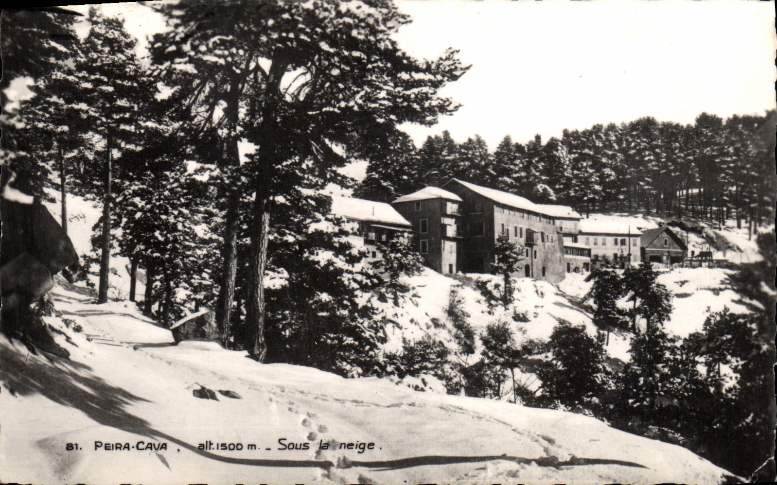 VINTAGE POSTCARD Peira Undermined Under the niege