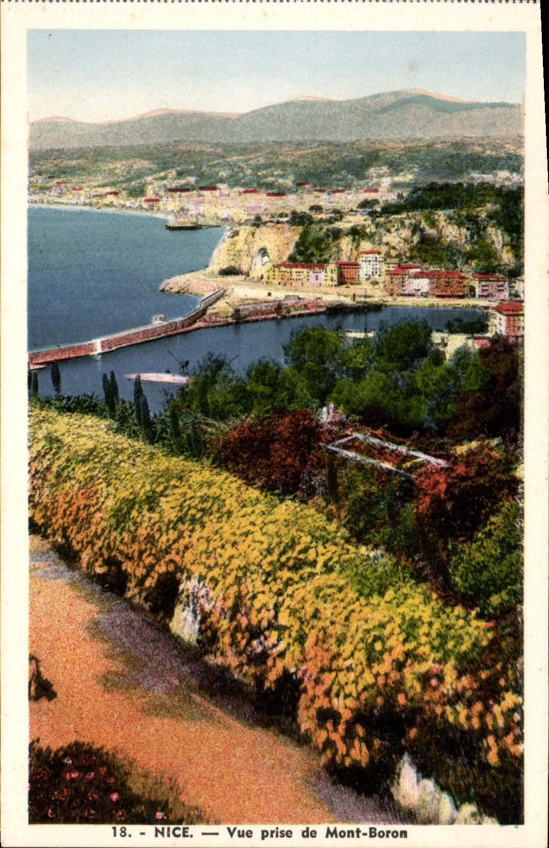 CPA Nice Vue Prise de Mont Boron