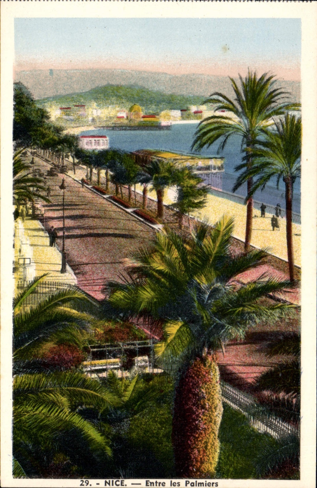 CPA Nice Entre les Palmiers