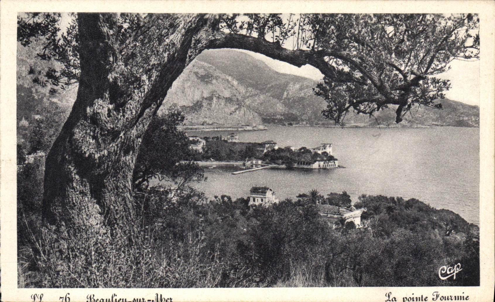 CPA Beaulieu sur Mer La pointe fourmie