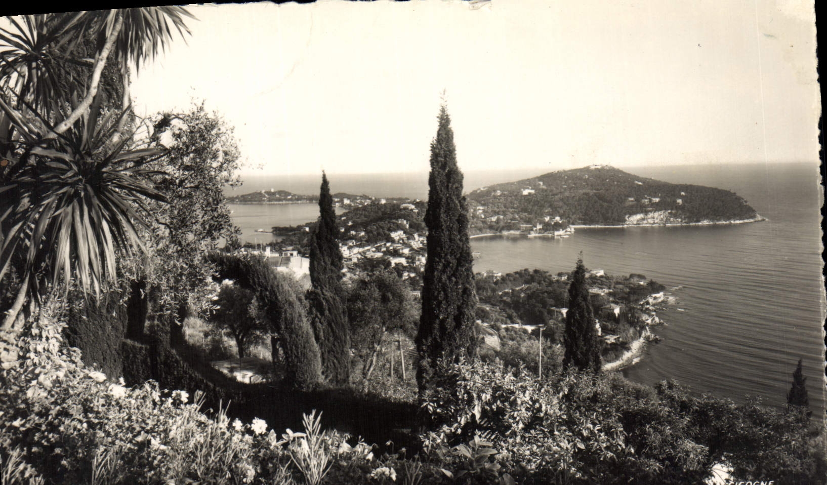 CPM Le Cap Ferrat Dans son decor Mediterraneen