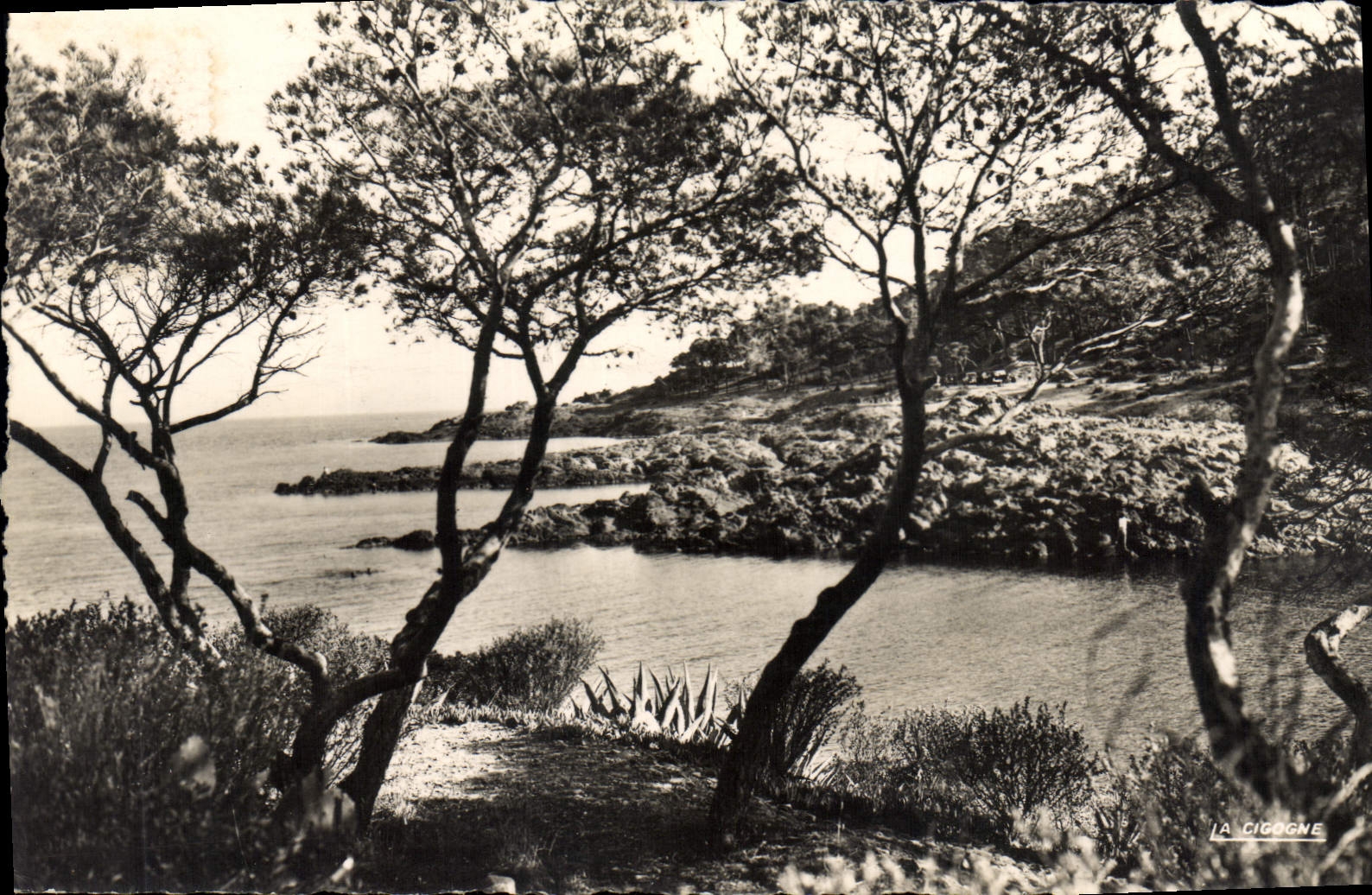 CPA Corniche d'Or Une Calanque