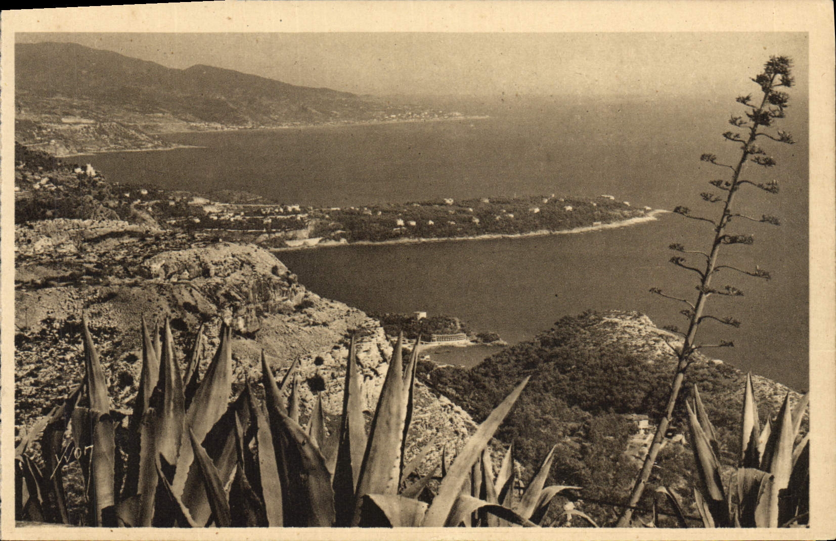 CPA Le Cap Martin vu du Rond Point de la Turbie