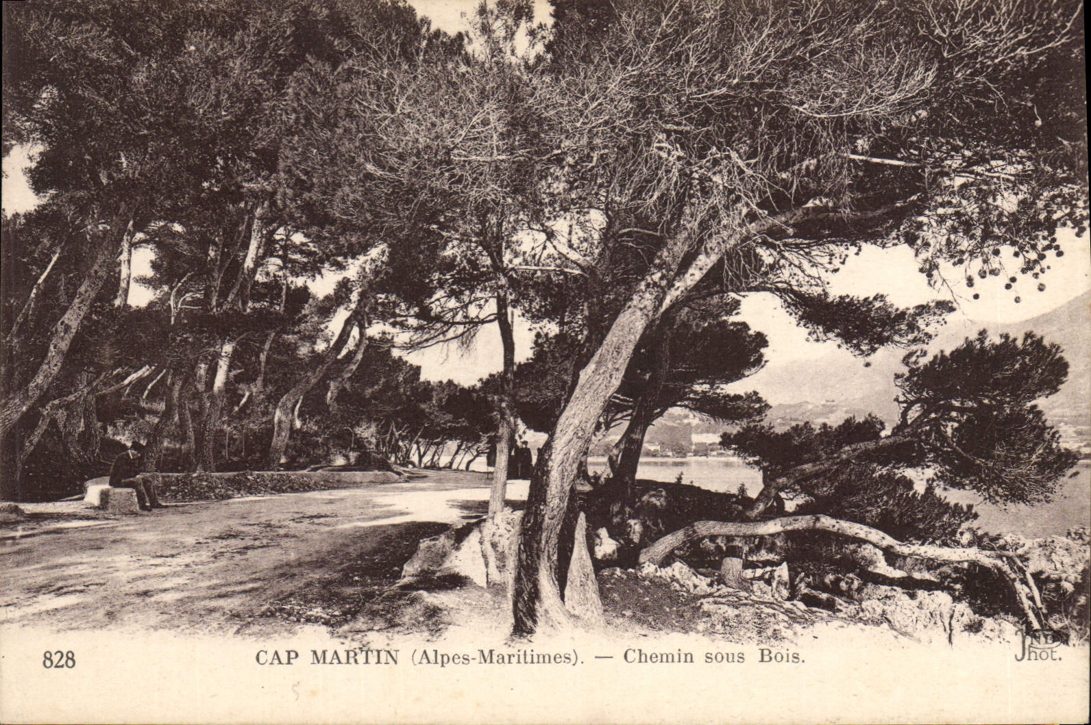 CPA Cap Martin Chemin Sous Bois